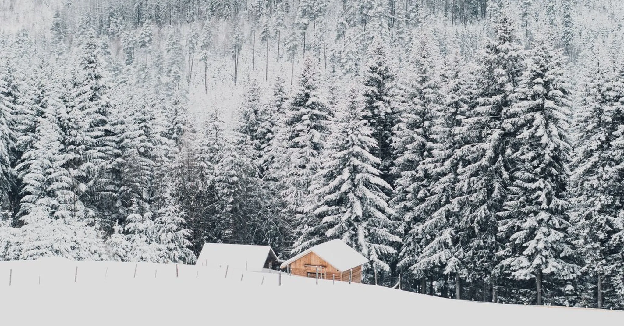 MLK Weekend 2027 in Mountain Rest, SC: A 3-Day Winter Cabin Escape for Two