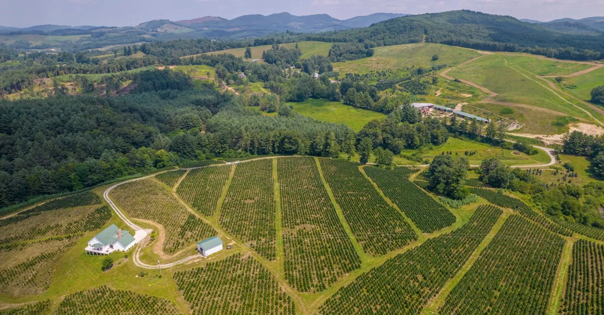Christmas Tree Farms Upstate South Carolina 2026: Mountain Rest Holiday Guide