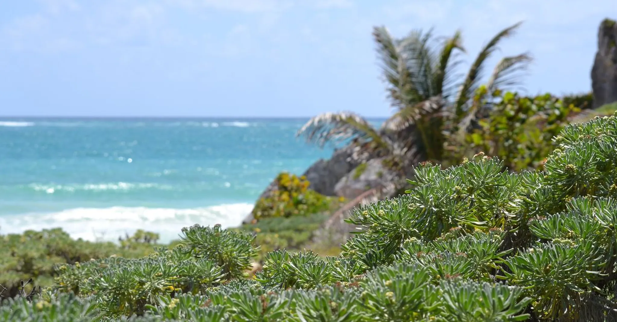 July 4th Weekend in Tulum 2026: American Expat Beach Escape