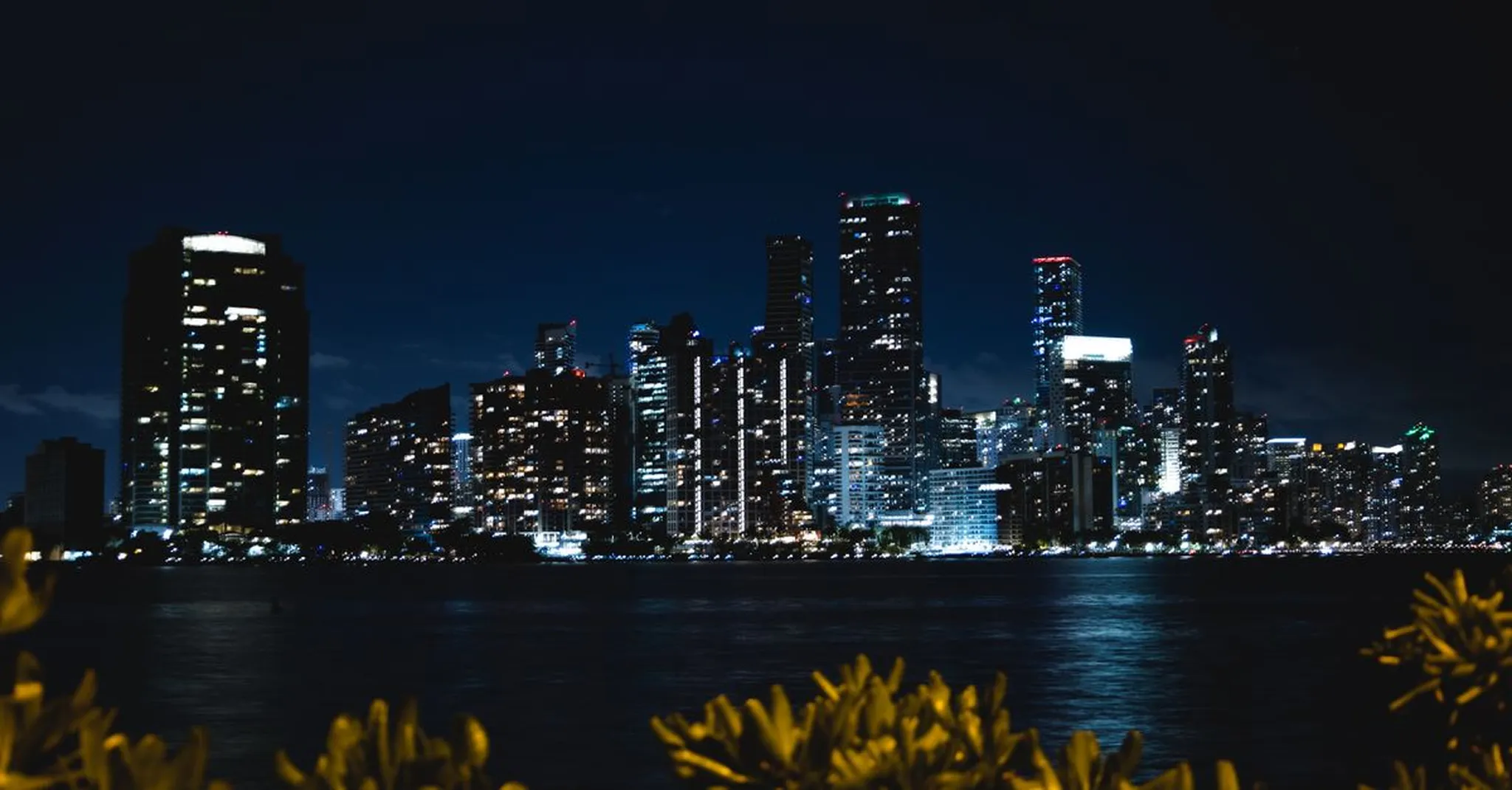 New World Symphony WALLCAST Concerts Fall 2026: Free Music Nights in Miami Beach