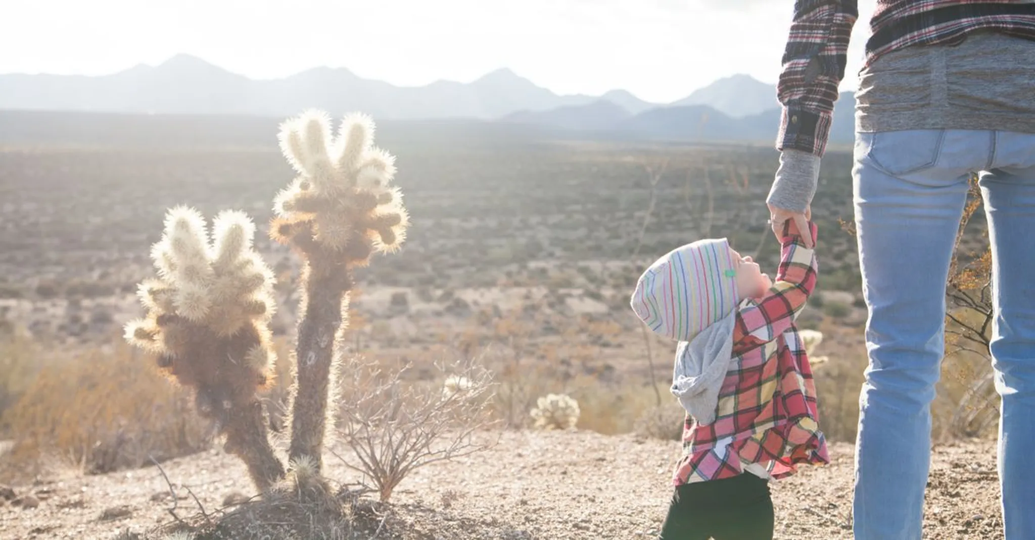 Family Trip to Scottsdale 2026: Kid-Friendly Attractions and Homes That Sleep 15