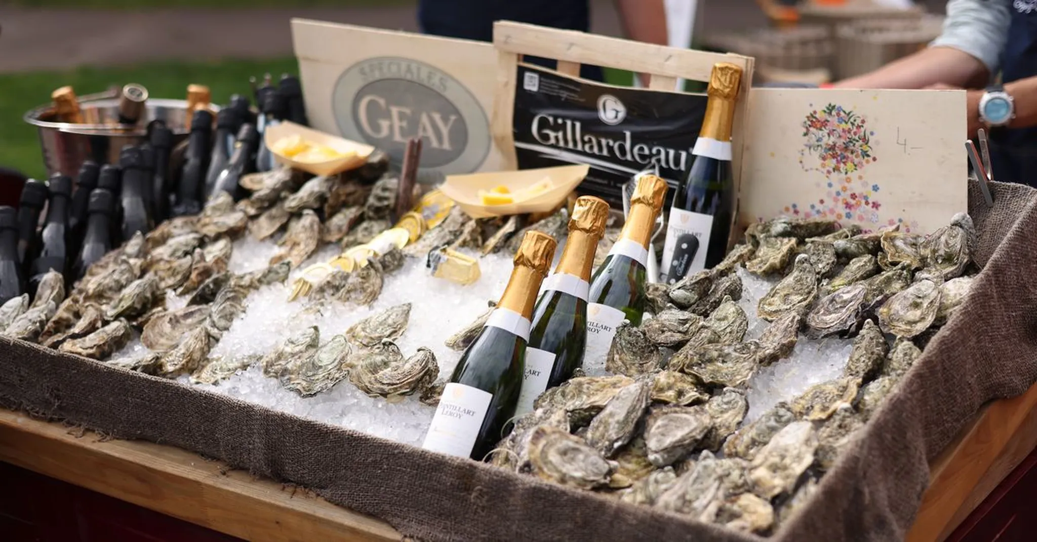 Wellfleet OysterFest 2026: Where to Stay in Nearby Eastham on the Outer Cape