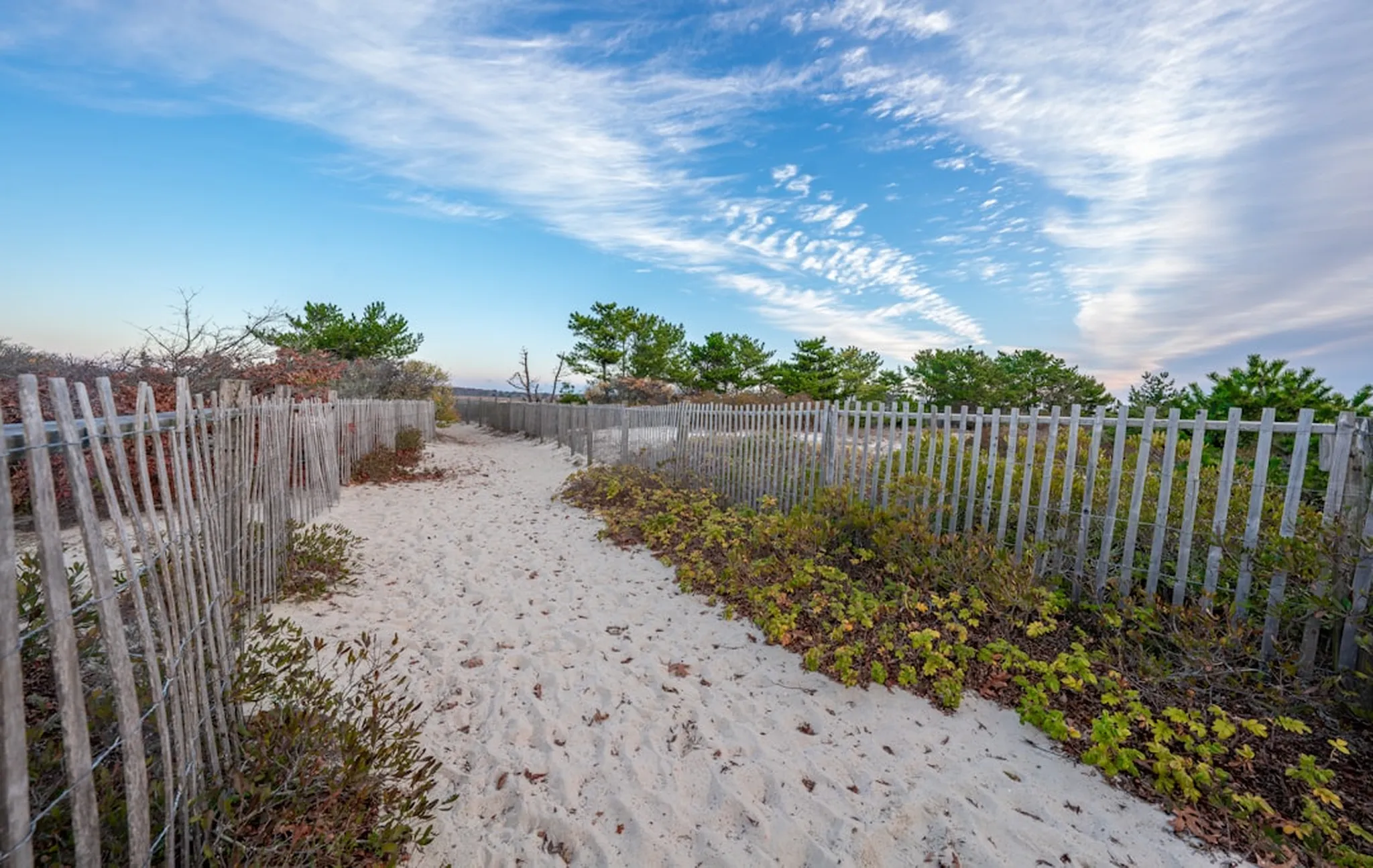 Sandy path to the beach along a picket fence