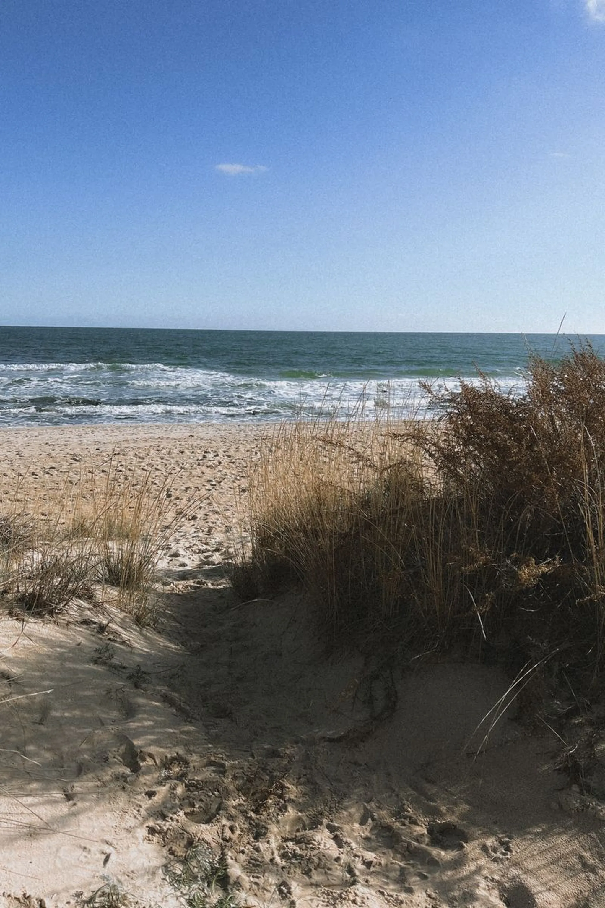 Sandy path through beach grass and dunes leading to breaking ocean waves under a clear blue sky