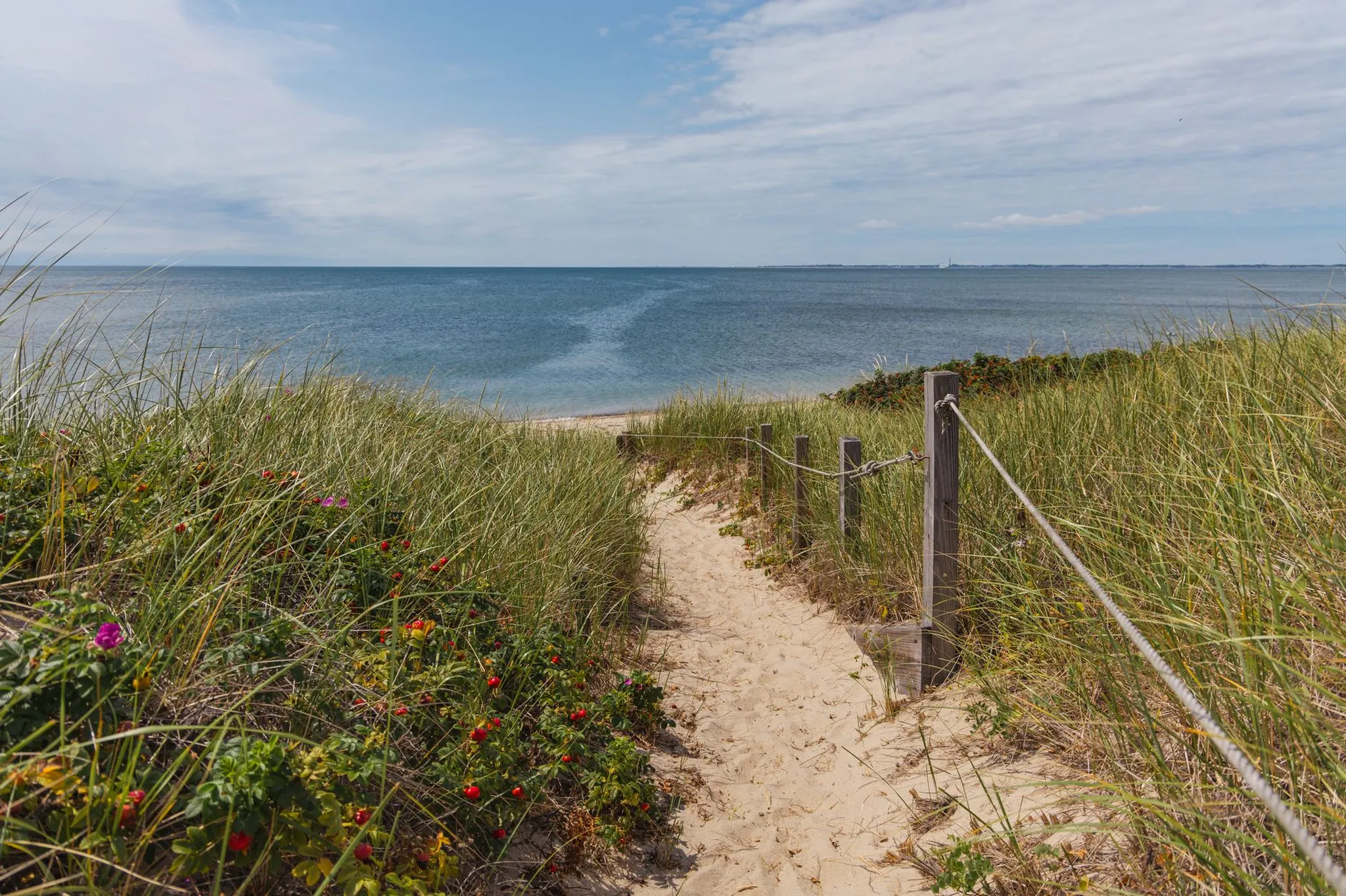 Sandy path through beach grass and beach roses opening onto the calm blue water of Nantucket Sound