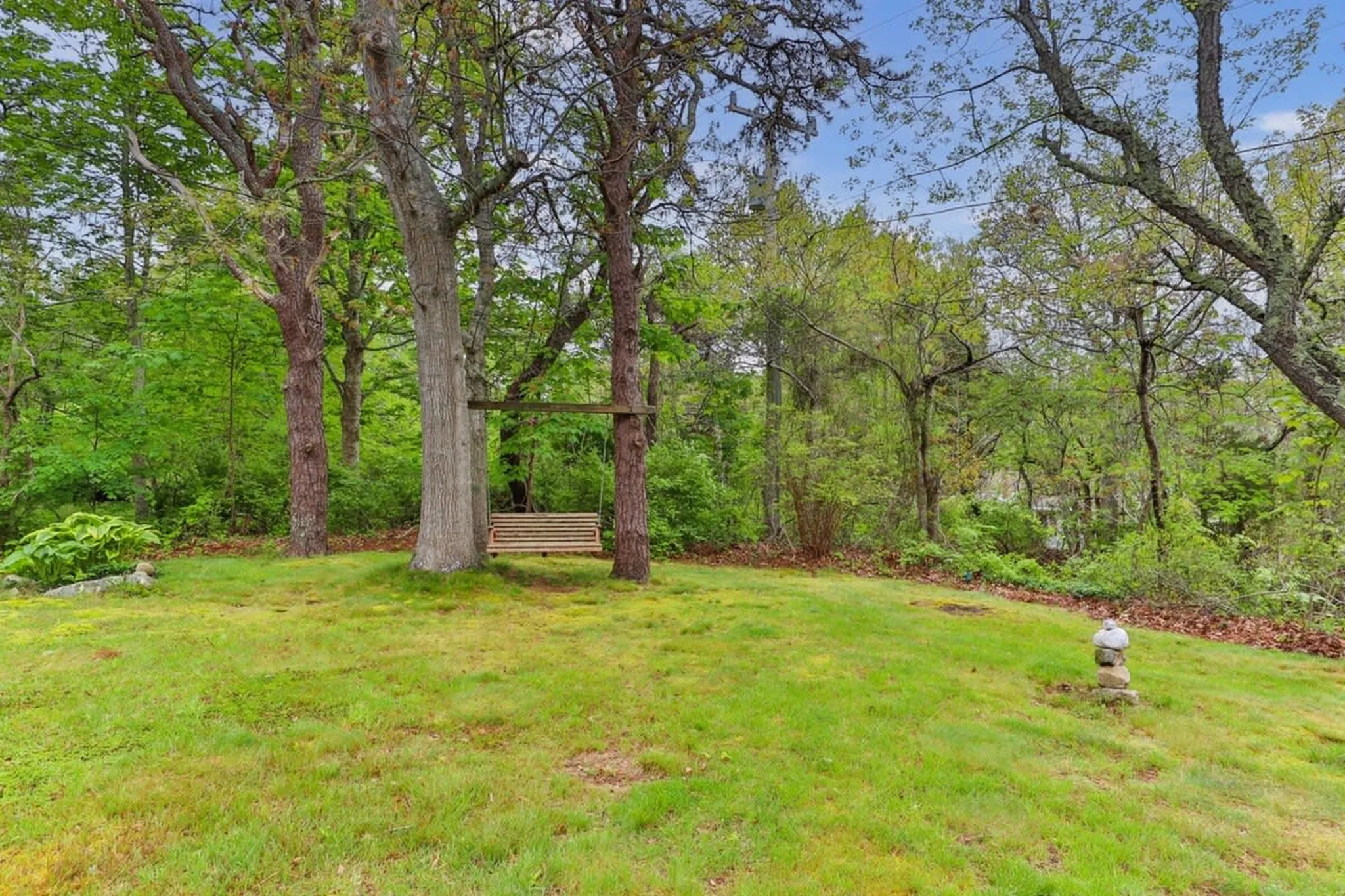 Wooden porch swing hanging between tall trees on a green grassy lawn surrounded by dense woodland