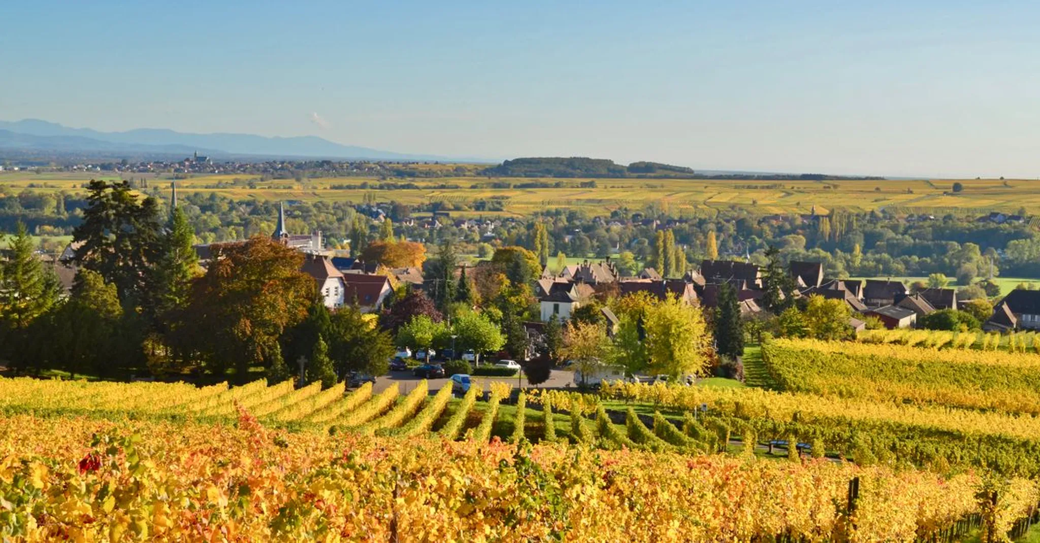 SITV Colmar 2026: Visiting Alsace's International Travel Fair in November