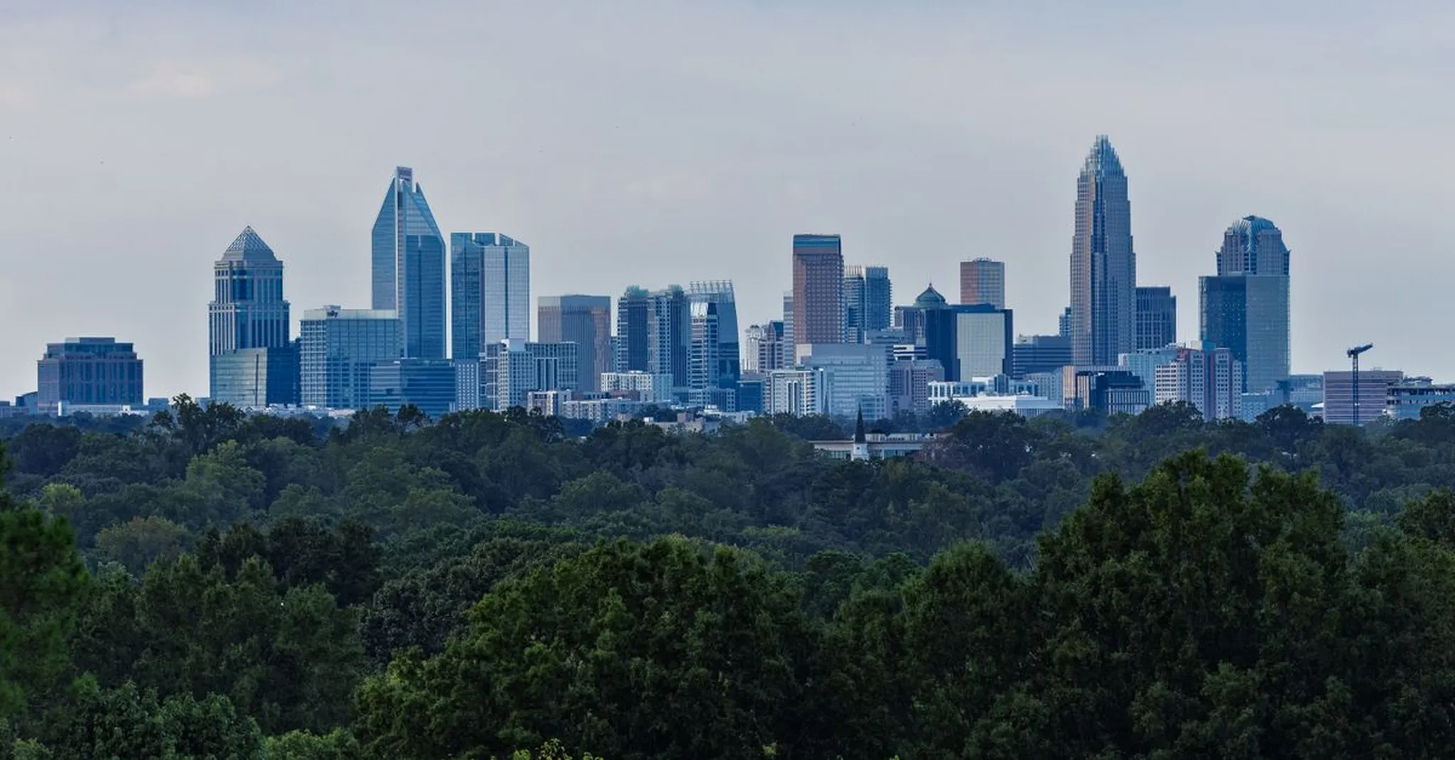 Myers Park vs. Dilworth Charlotte: Where Should You Stay?