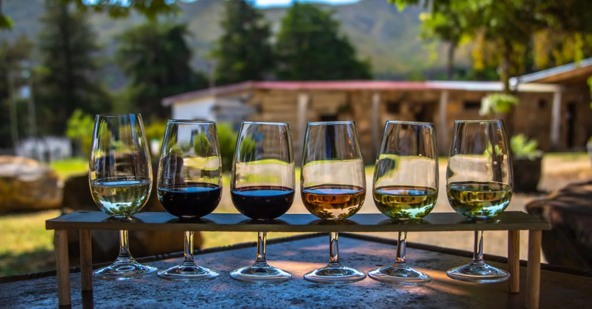 Cider & Mead Tasting Near Swannanoa: A Guide to Black Mountain's Local Scene