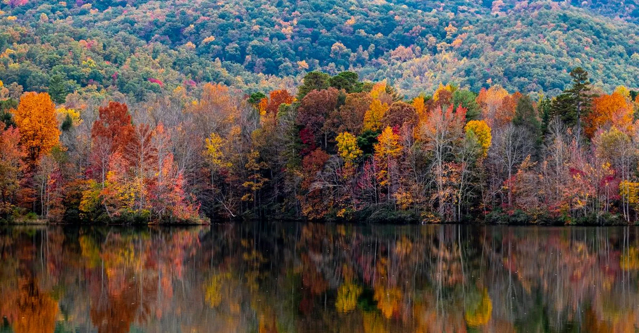 Fall Foliage at Biltmore 2026: Peak Leaf Season & Treehouse Stays Near Asheville
