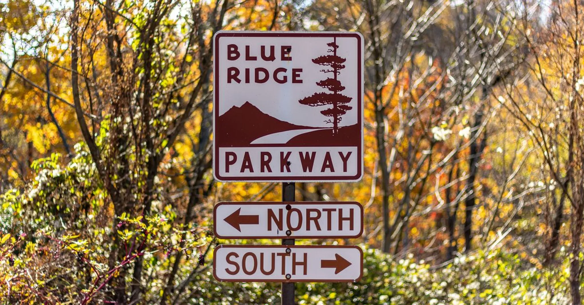 Blue Ridge Parkway Fall Color Drives 2026: Best Overlooks Near Swannanoa