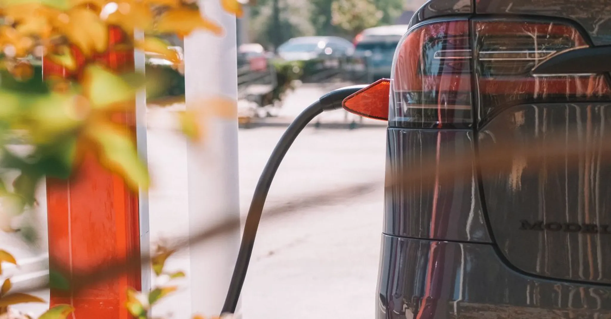 EV-Friendly Cabin Near Asheville: A Treehouse with a Charger in Swannanoa