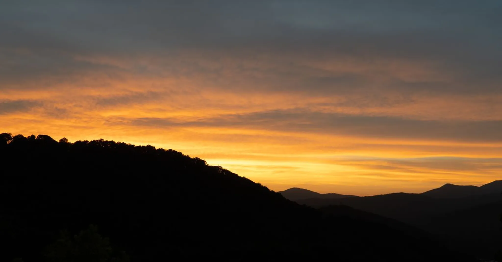 Asheville Oktoberfest 2026: Beer Festivals, Brats & a Treehouse Base in Swannanoa