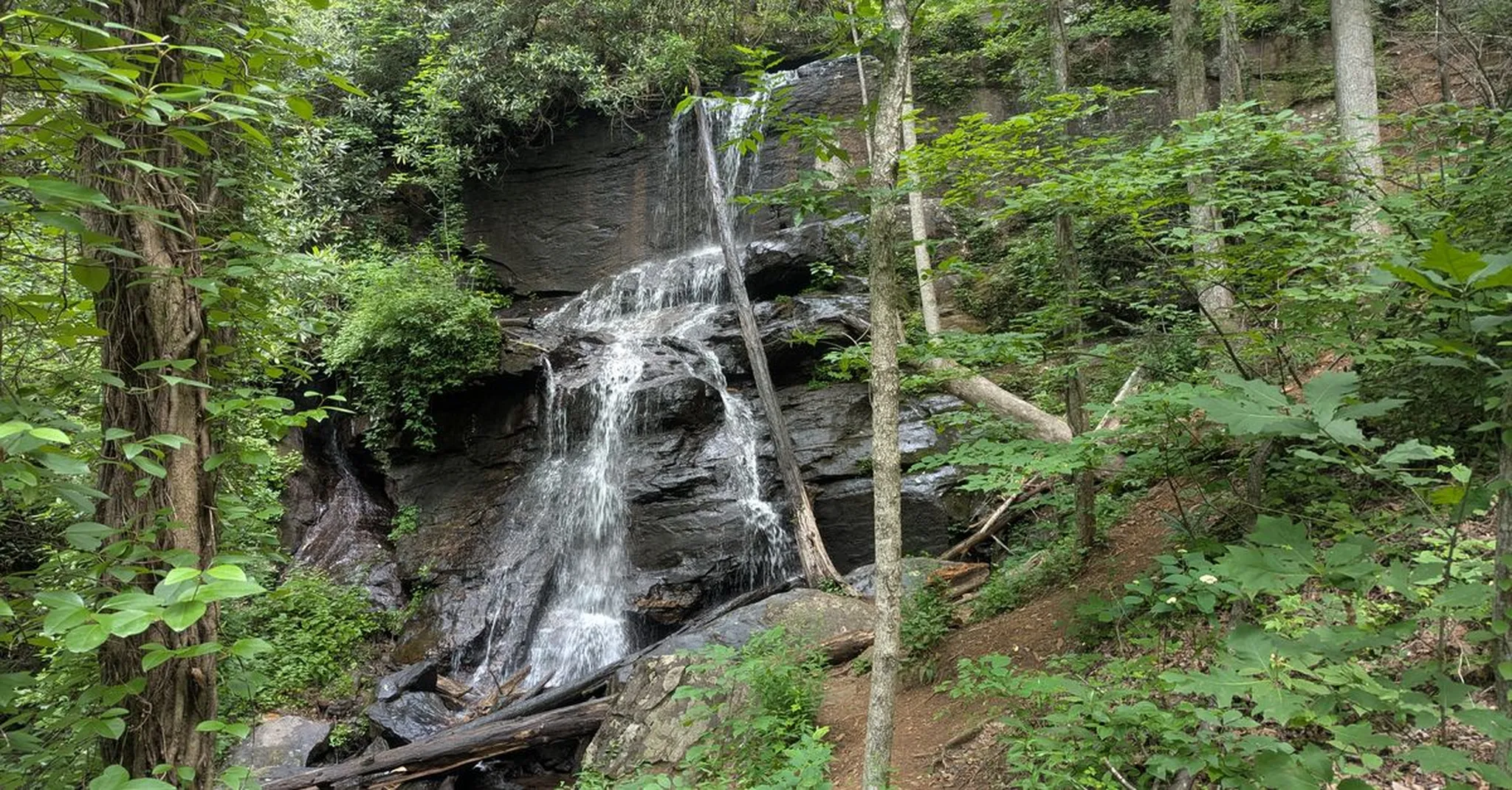 Labor Day Weekend Hikes Near Swannanoa 2026: Trails, Waterfalls & a Treehouse Base