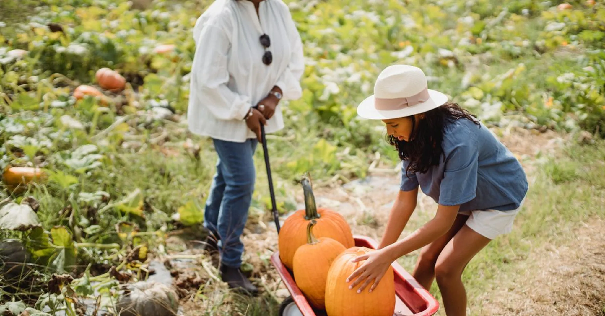 Pumpkin Patches & Corn Mazes Near Asheville 2026: A Family Fall Day Trip Guide