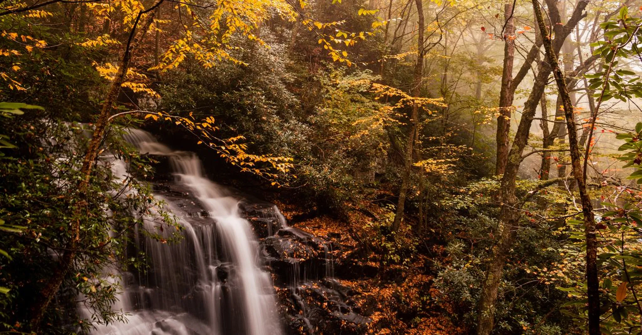Chimney Rock State Park Fall 2026: Hiking, Views & Cabin Stays Near Asheville