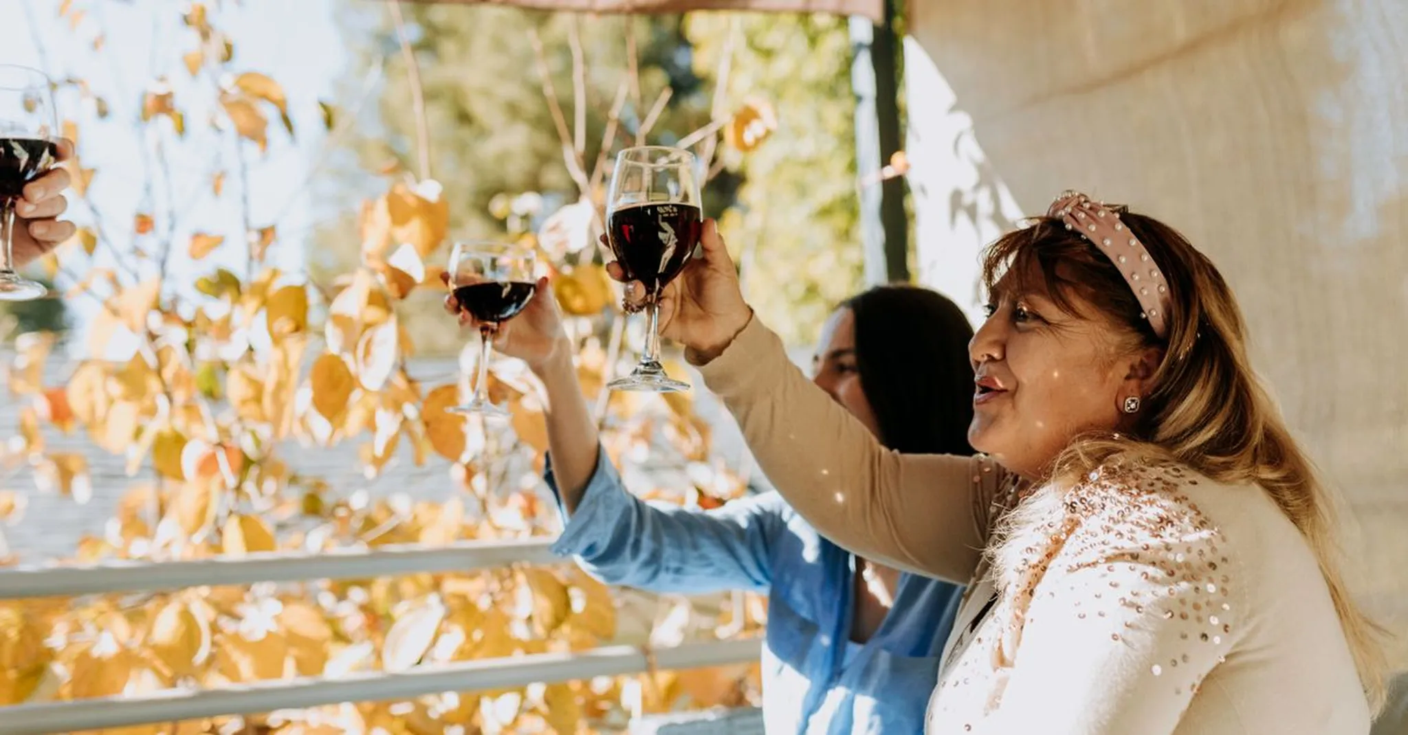 Fall Wine & Cider Festival Season Near Black Mountain 2026: Sips & Stays