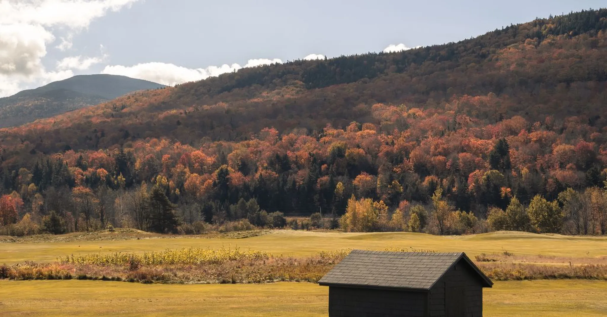 Affordable Cabins Near Asheville Under $200: Fall 2026 Budget Getaway Guide