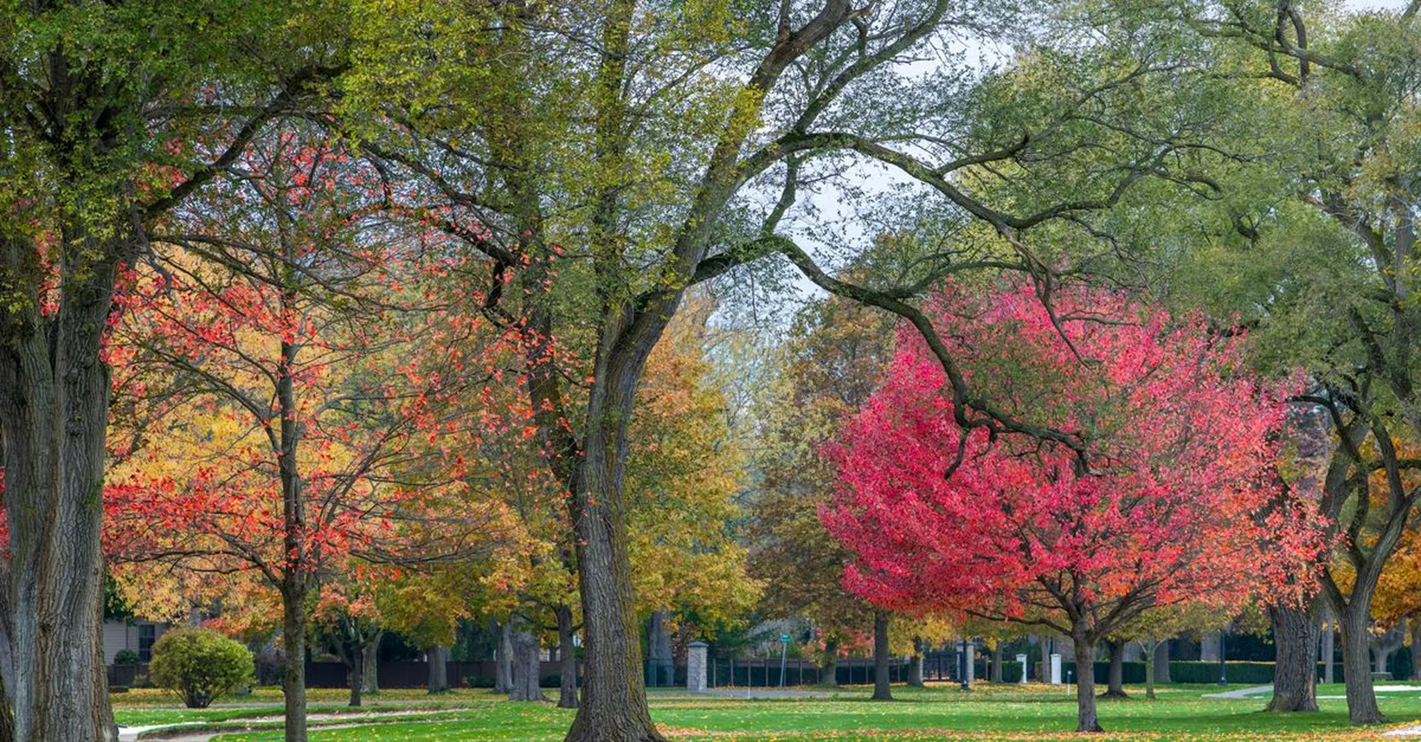 Nashville Fall Foliage Guide 2026: Best Parks, Scenic Drives & Cozy Stays