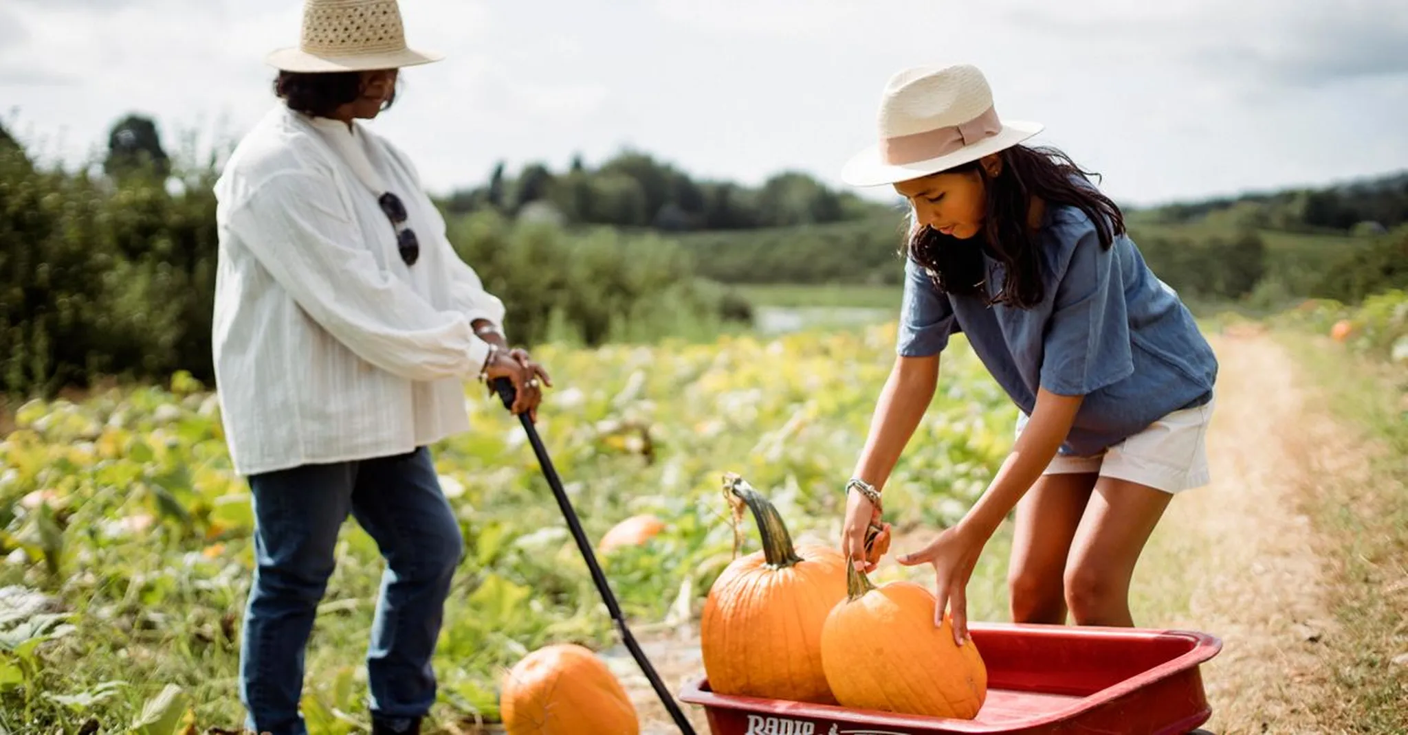 Pumpkin Patch Sheridan Wyoming 2026: Family Harvest Guide