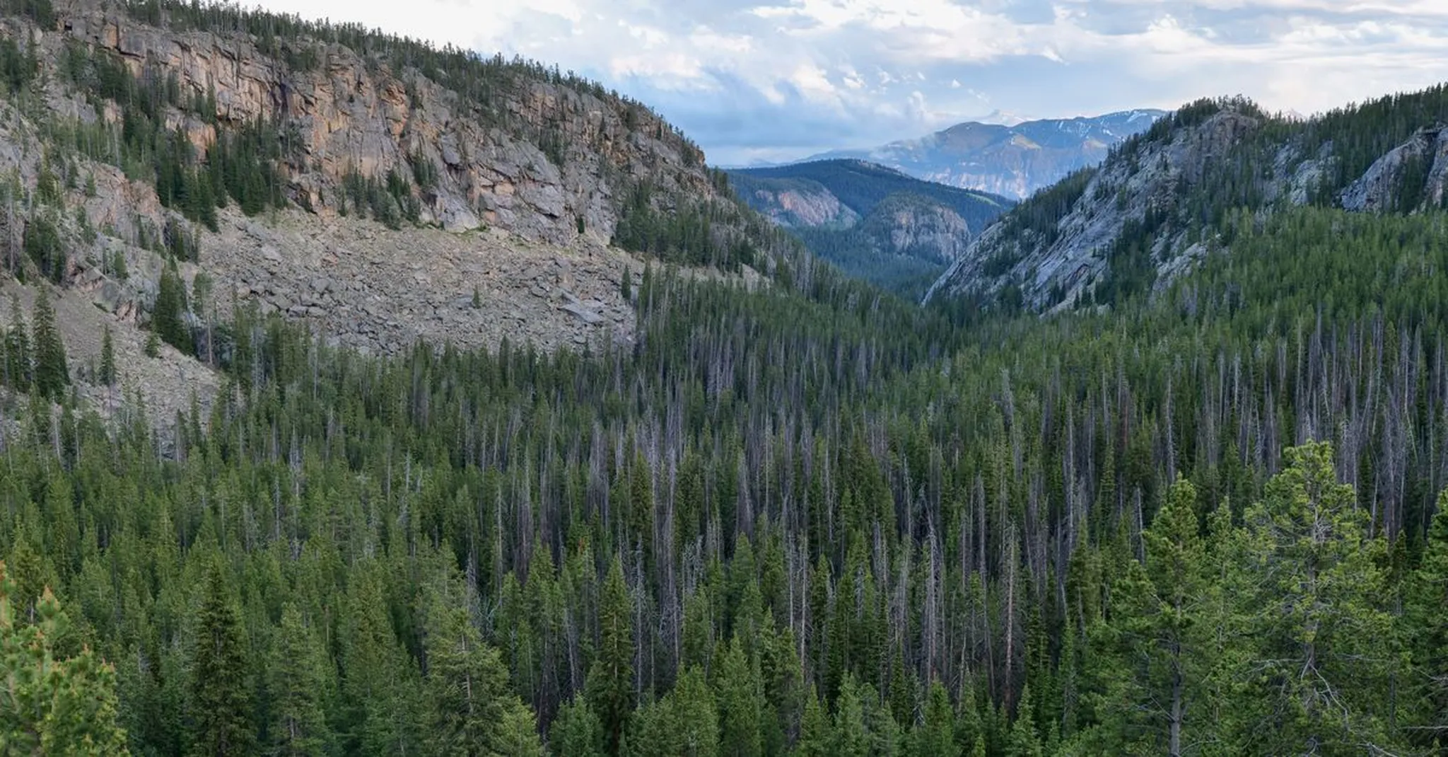 National Public Lands Day 2026 in the Bighorn National Forest: Free Access and Where to Stay