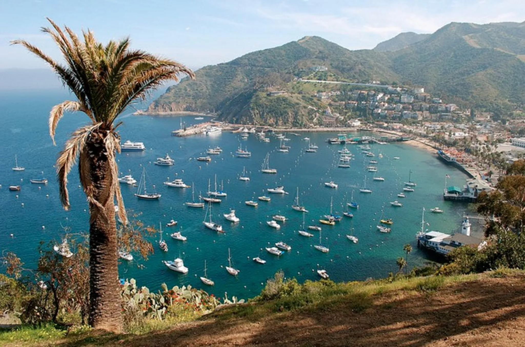 Spring Break 2025 Family Getaway to Catalina Island: Full Week Itinerary & Guide for Families