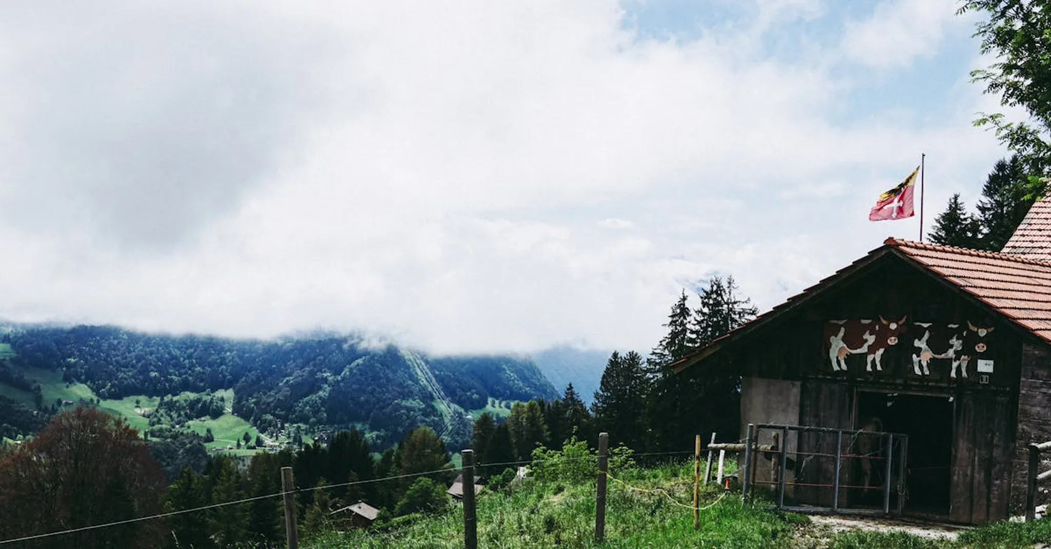 Spring Hiking Near Asheville: Best Trails and Where to Stay