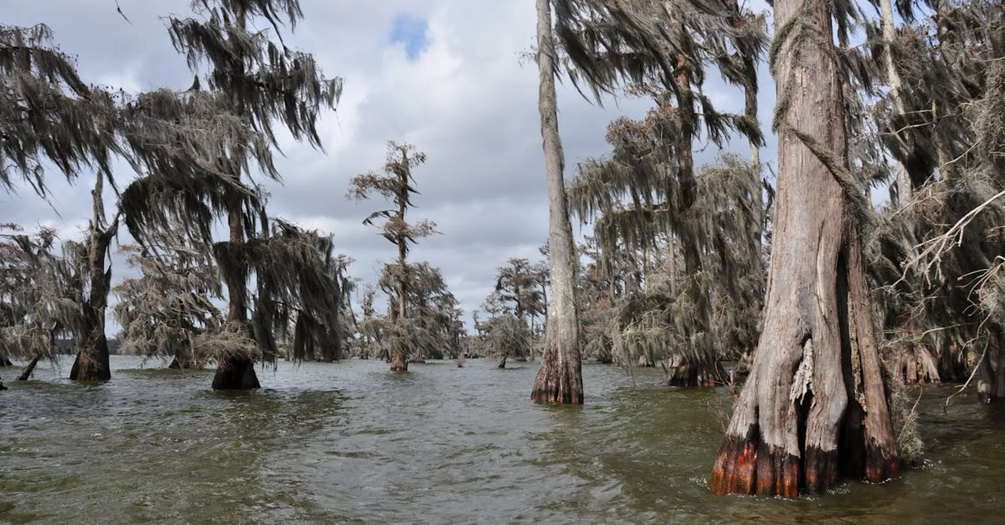 Lafayette vs. Lake Charles: Where to Base Your Cajun Country Trip