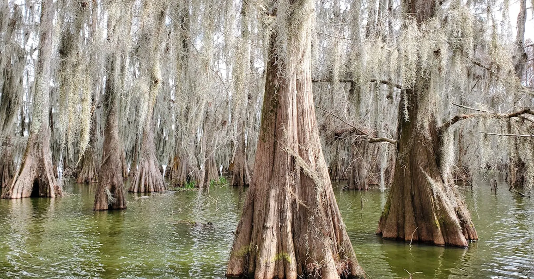 Lafayette vs. New Orleans for a Louisiana Getaway: Which to Choose in 2026