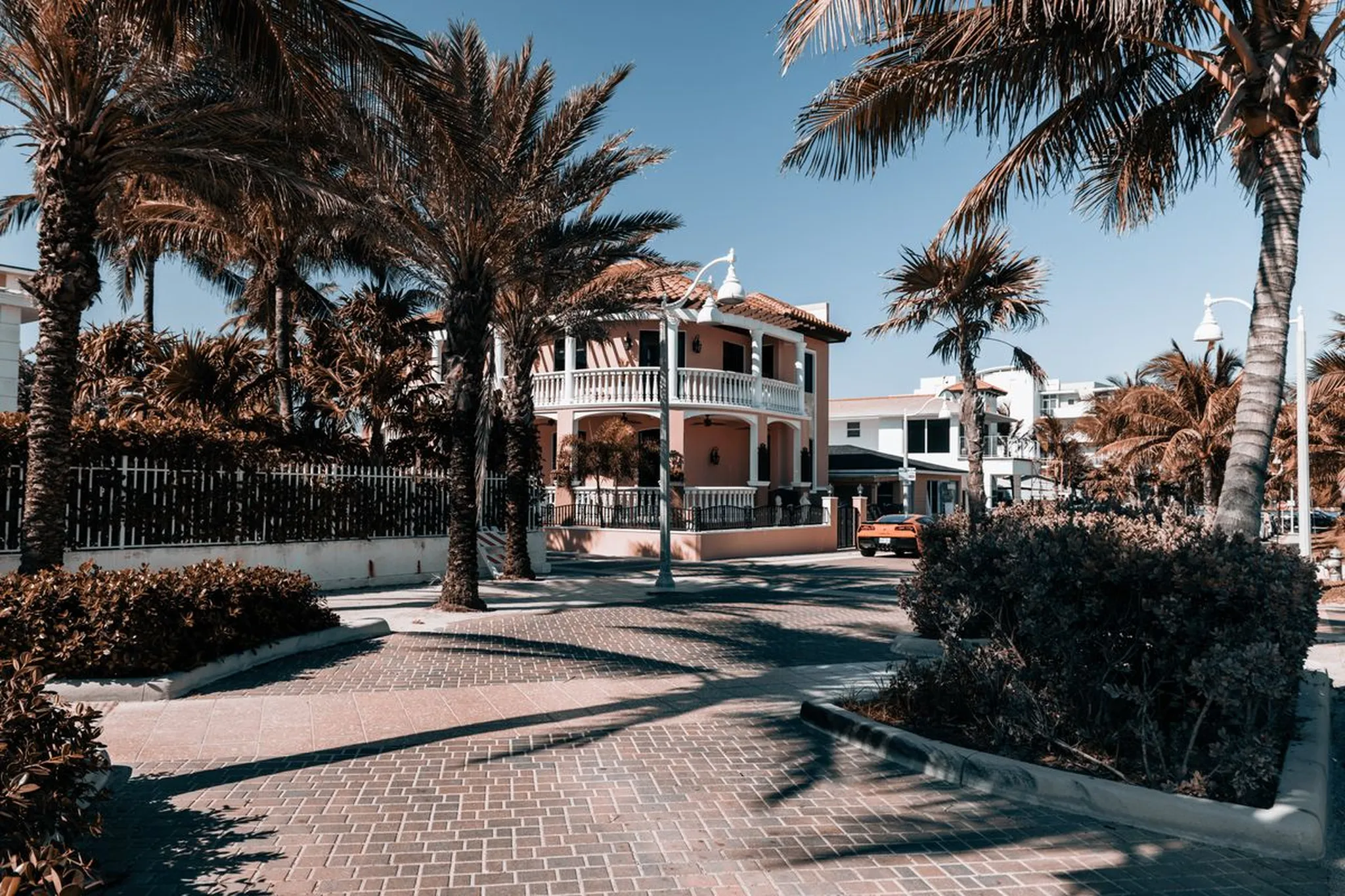 A palm-lined residential street in Hollywood, Florida