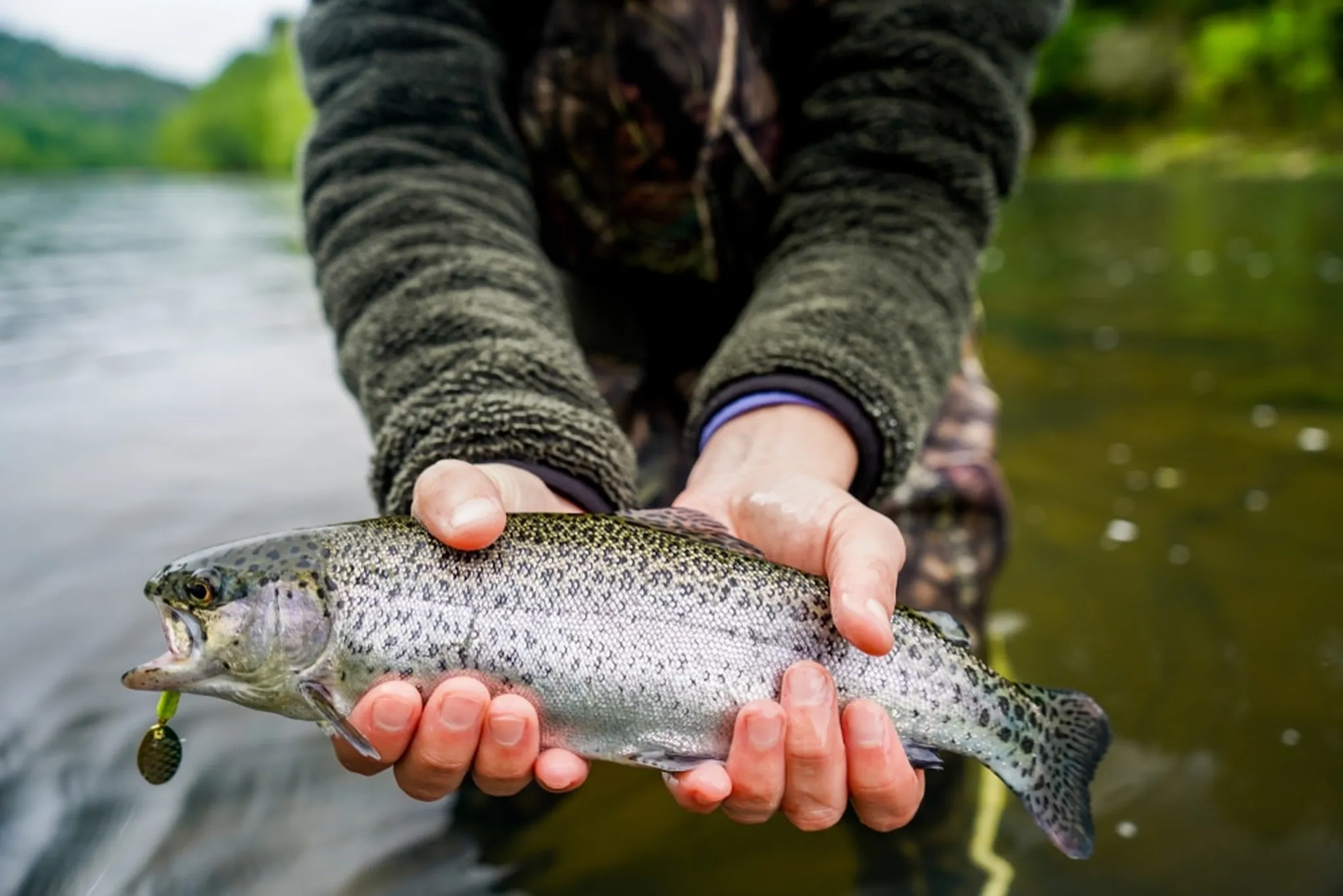 Fly Fishing in Broken Bow: Ultimate Guide