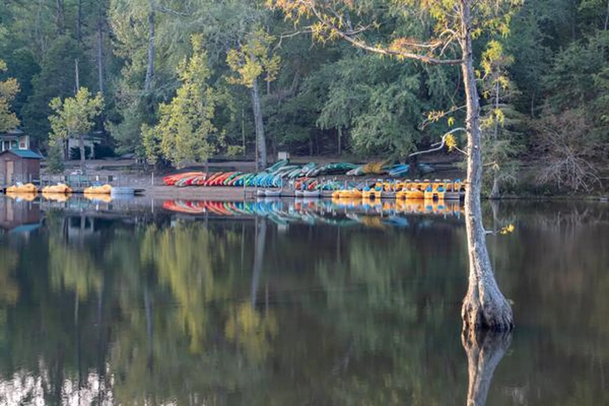 A Traveler’s Guide to Fall in Broken Bow