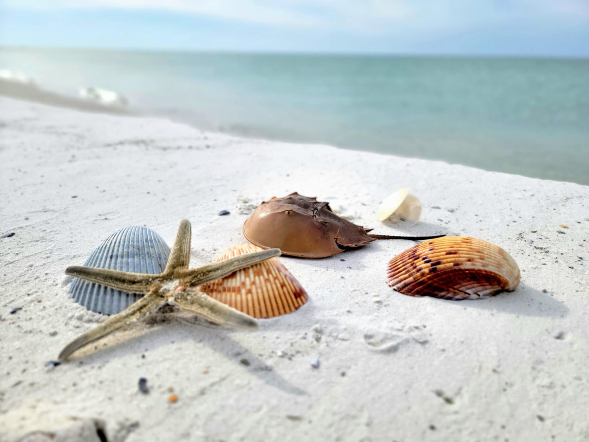 Memorial Day Weekend 2026 in Cape San Blas: Beach Rentals for the Long Weekend