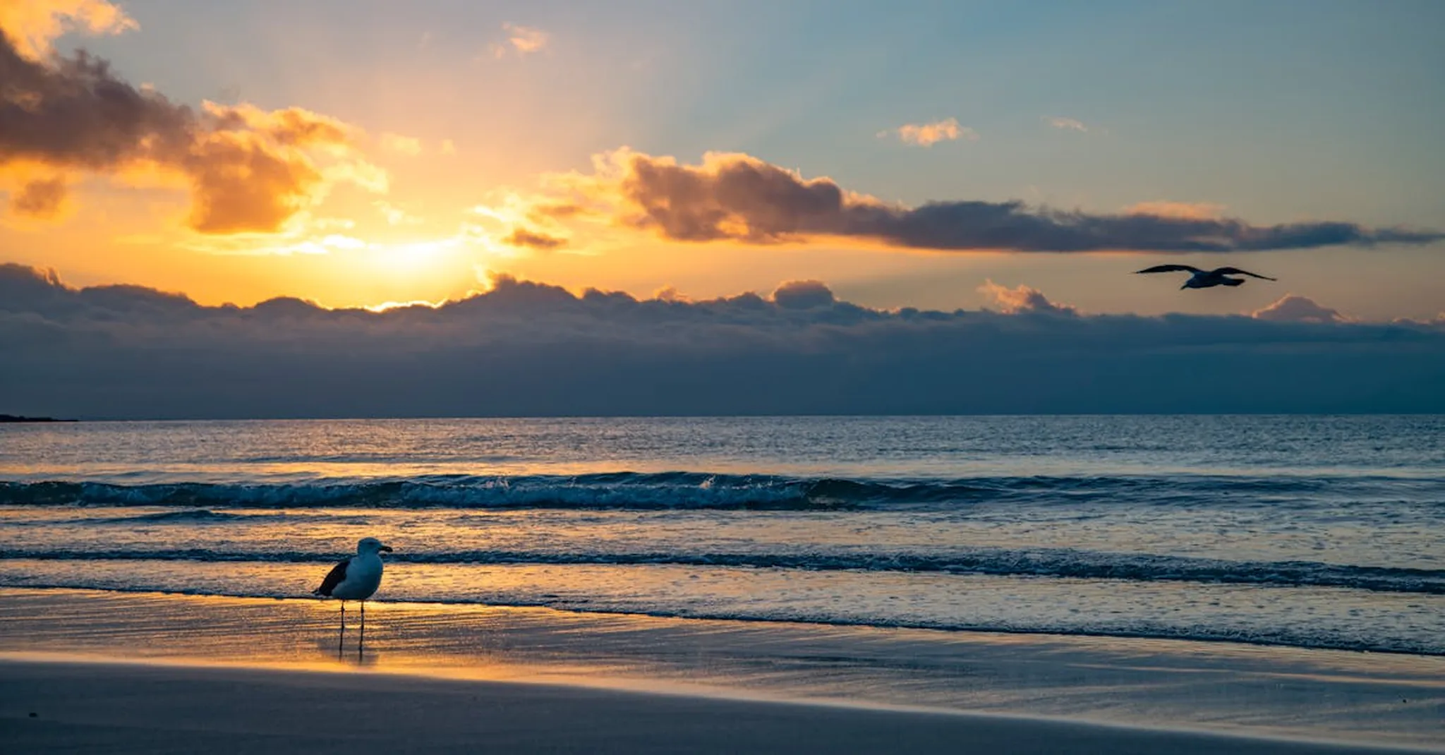https://storage.googleapis.com/hostai-booking-prod-photos/clients/beachboundvacationrentals/blogs/covers/40463527-c209-44f4-9d20-6a9a83b5da12.jpg