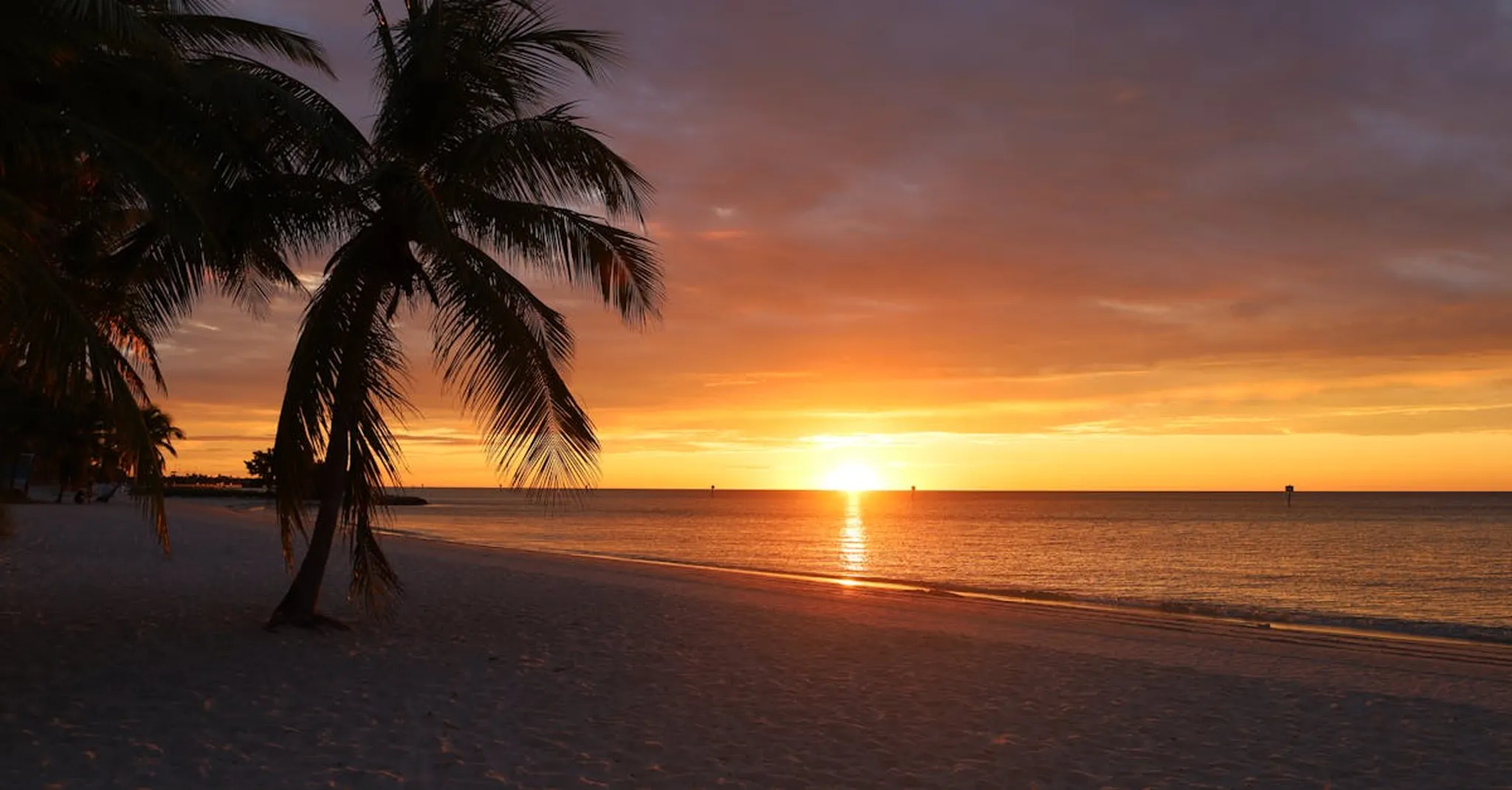 https://storage.googleapis.com/hostai-booking-prod-photos/clients/beachboundvacationrentals/blogs/covers/bf38bf16-db71-4c7b-aa22-f3a5e8103305.jpg