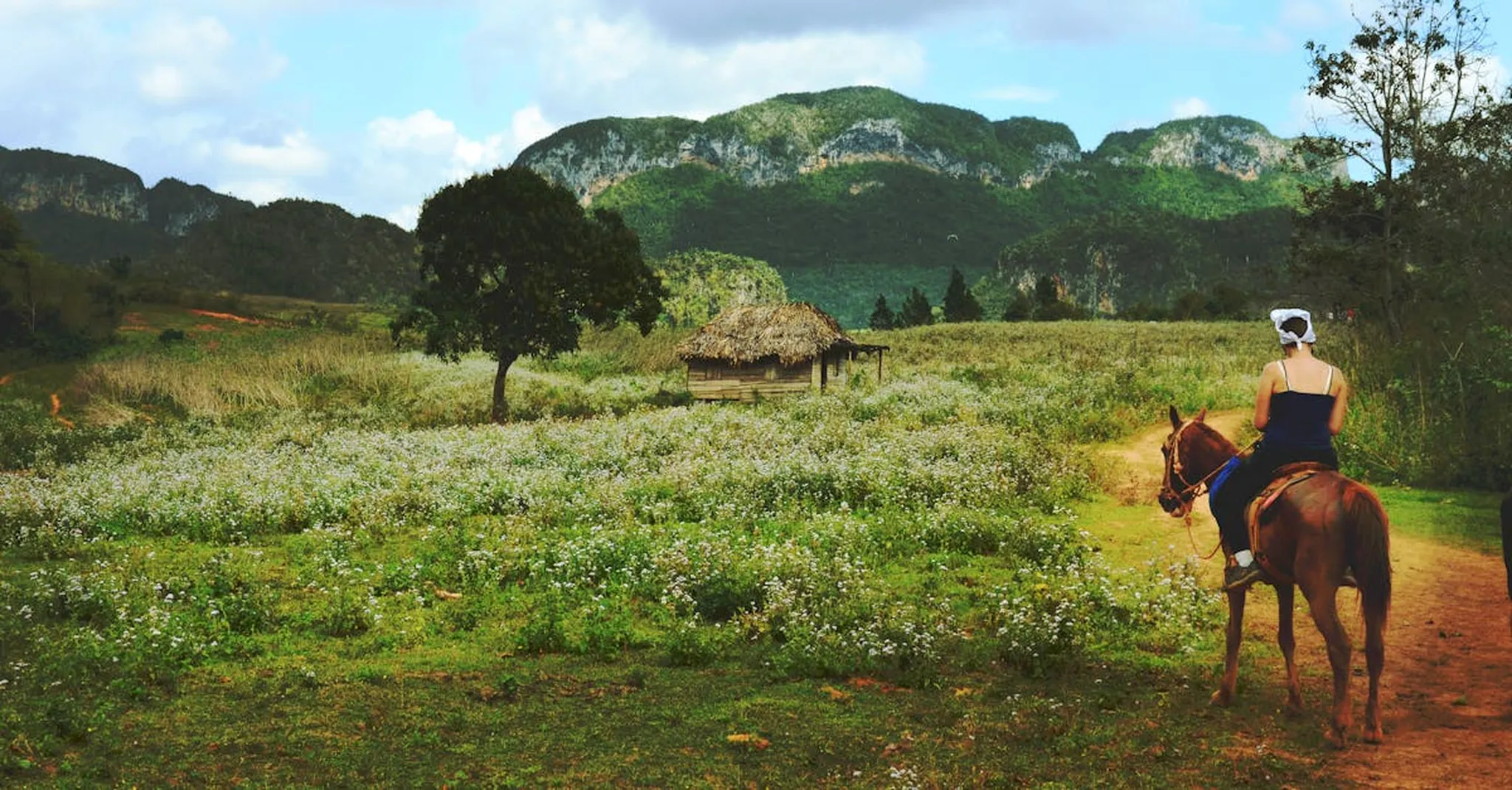 Spring Getaways in Wimberley: Best Outdoor Activities for April 2026