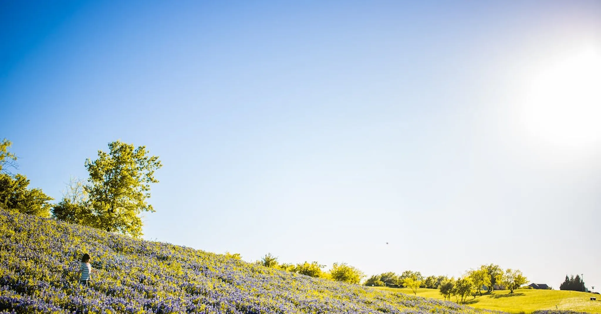 Independence Day Week in Wimberley 2026: Your Extended Hill Country Vacation Guide