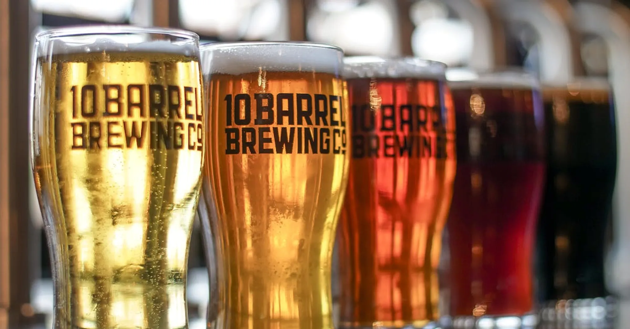 Philly Beer Week 2026: Where to Stay Near Philadelphia's Best Breweries