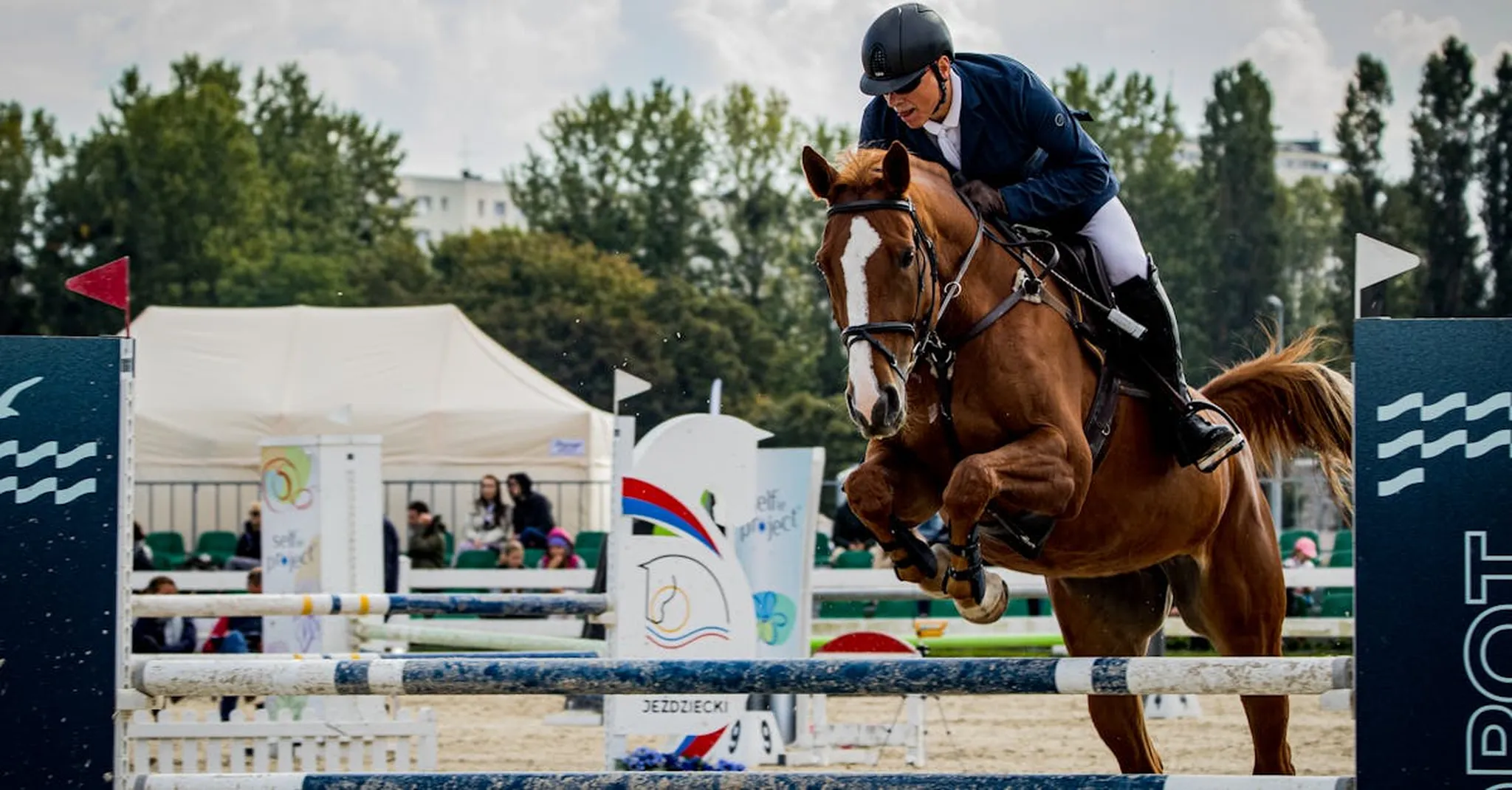 Devon Horse Show 2026: Where to Stay Near Philadelphia's Main Line