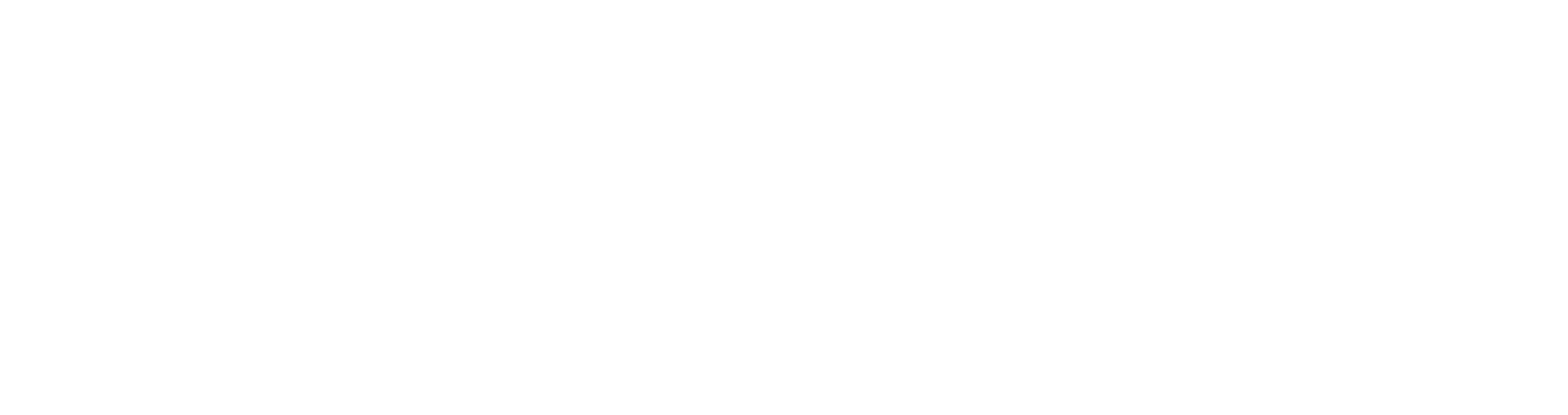 boutiquemexicovillas logo