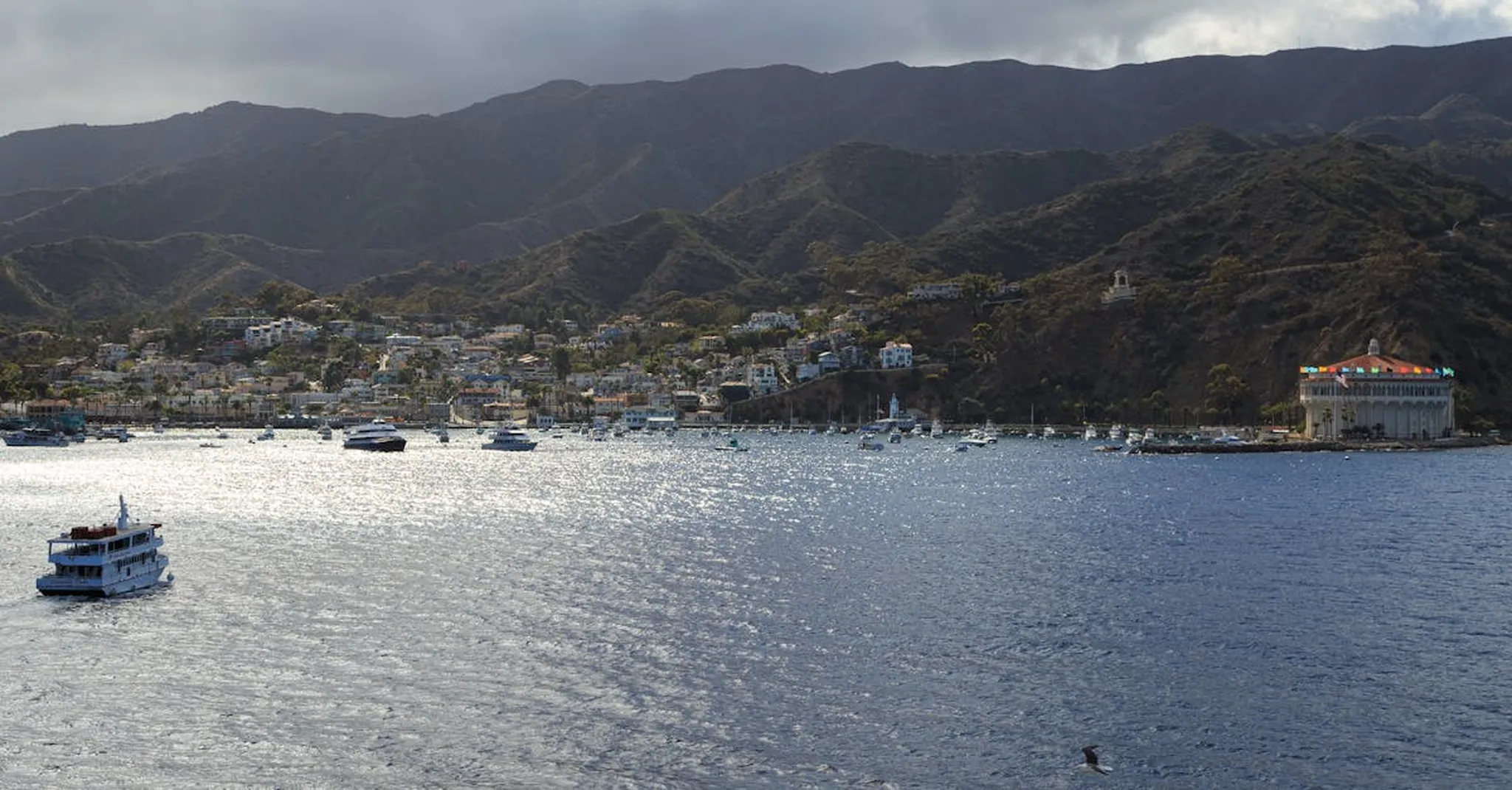 https://storage.googleapis.com/hostai-booking-prod-photos/clients/catalinaholiday/blogs/covers/346541d3-c624-4e2f-82b5-6010af42fd83.jpg