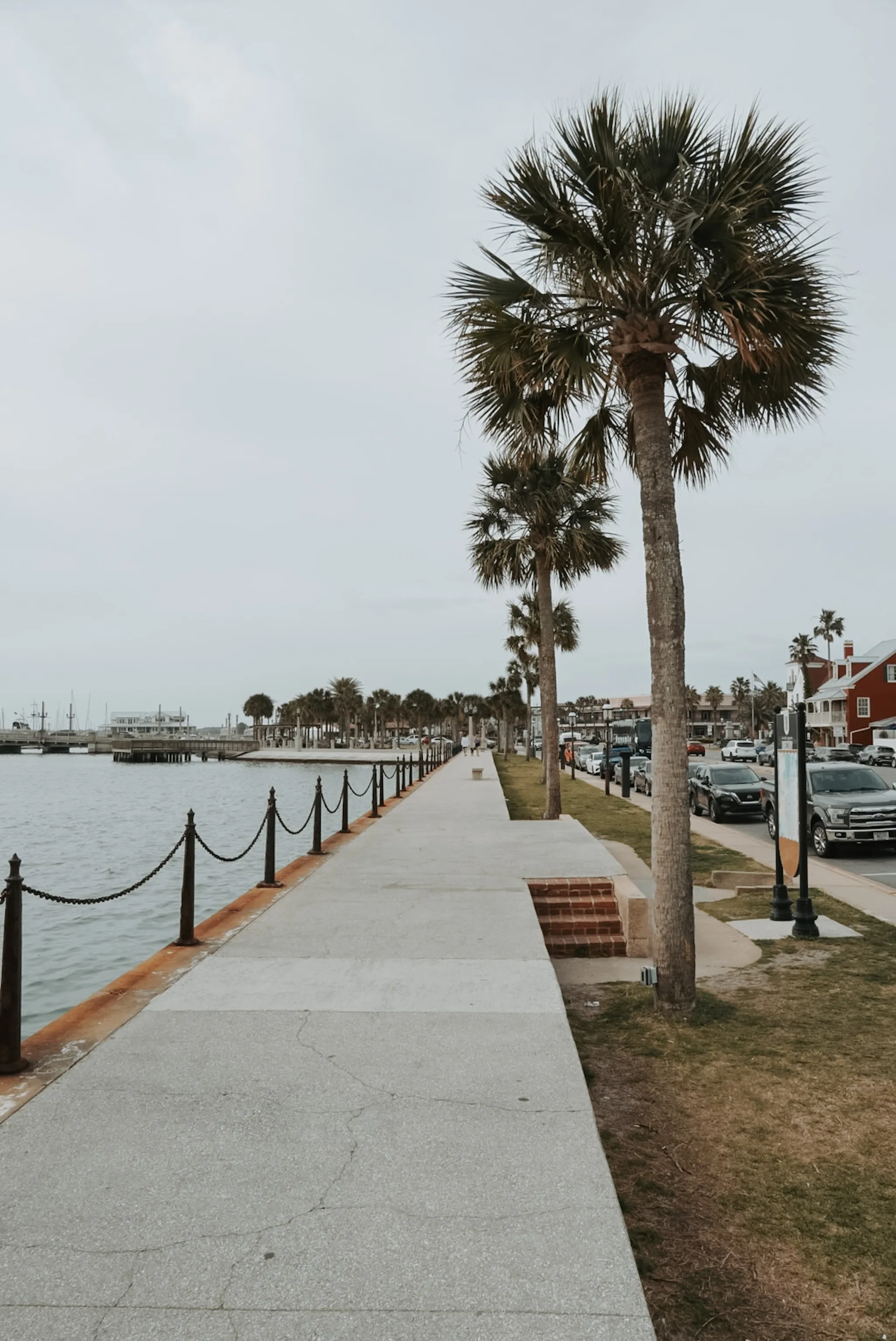 Waterfront promenade lined with tall palm trees, chain railings along the harbor, and parked cars beside a street on an overcast day