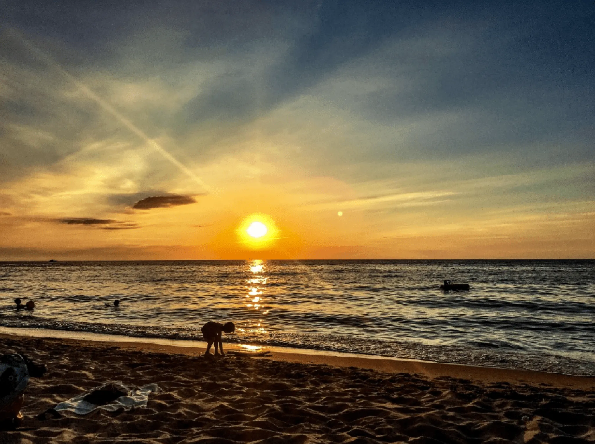 Red Tide Prevention with Clams, in action on Anna Maria Island