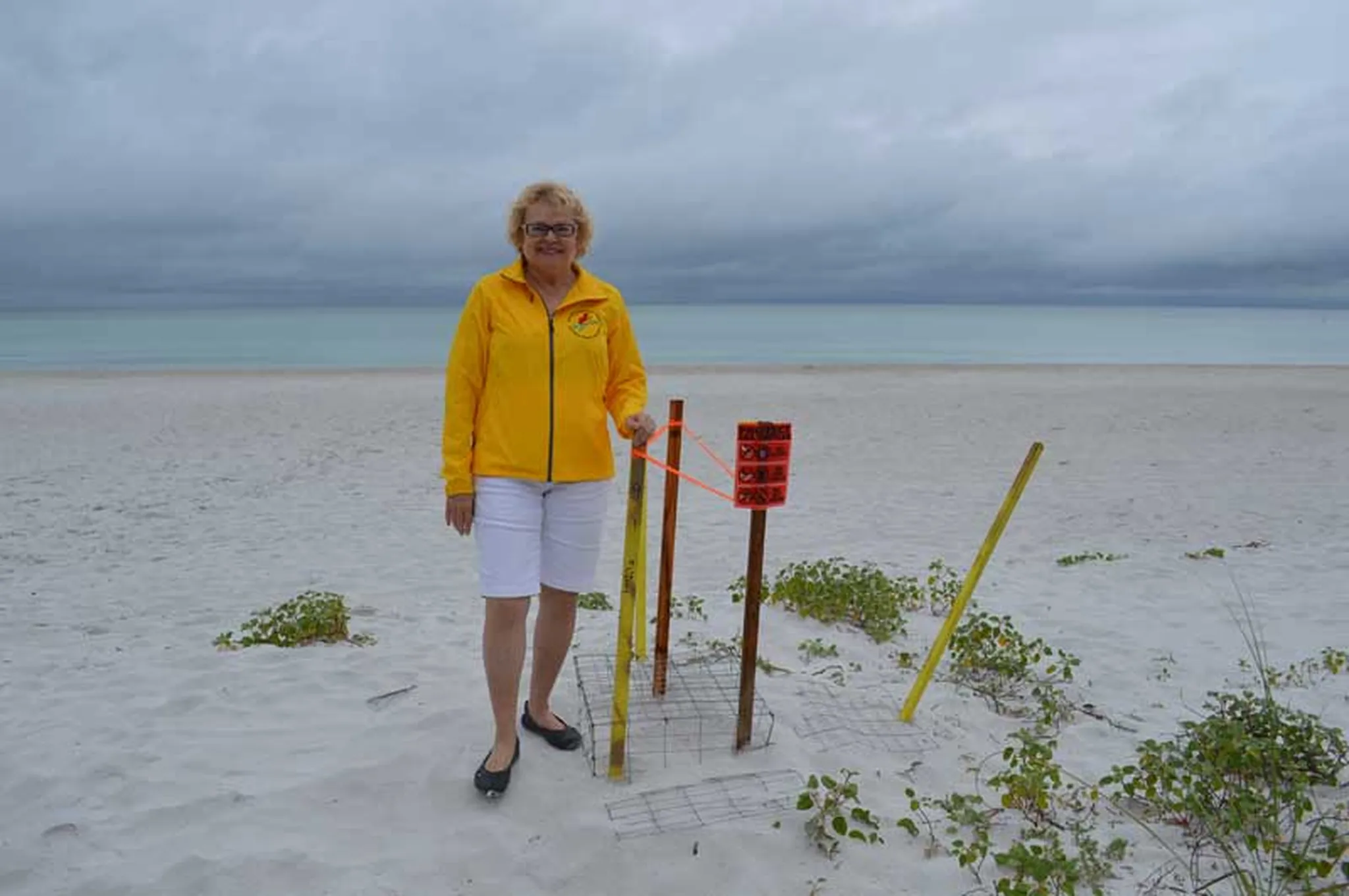 Turtle watchers excited, first nest of season spotted on AMI