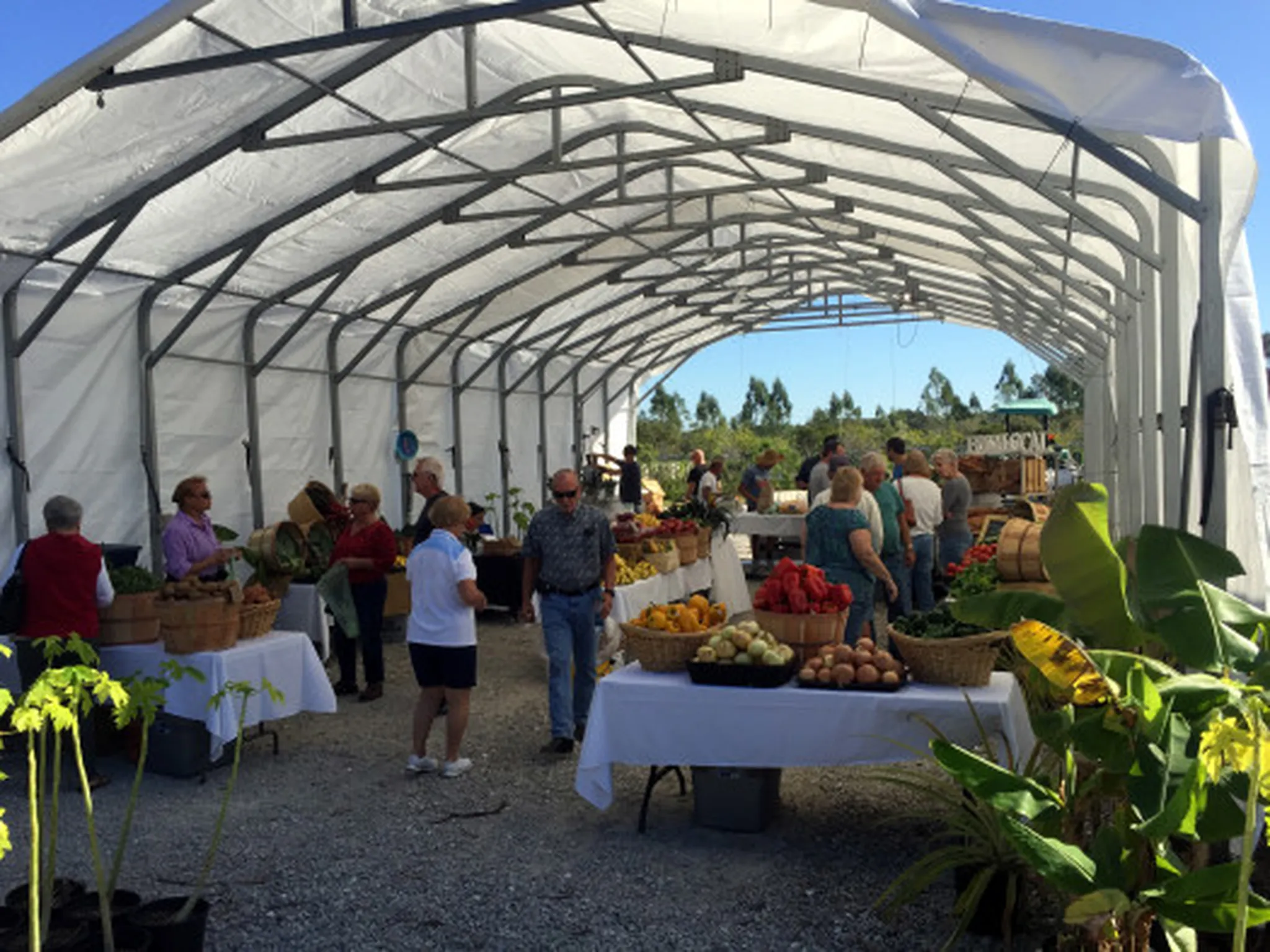 There’s a New Market on AMI!