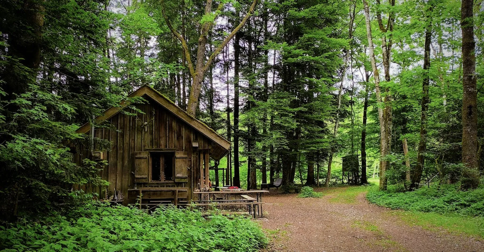 Memorial Day Weekend 2026 in East Texas: Cabin Getaways Near Mineola