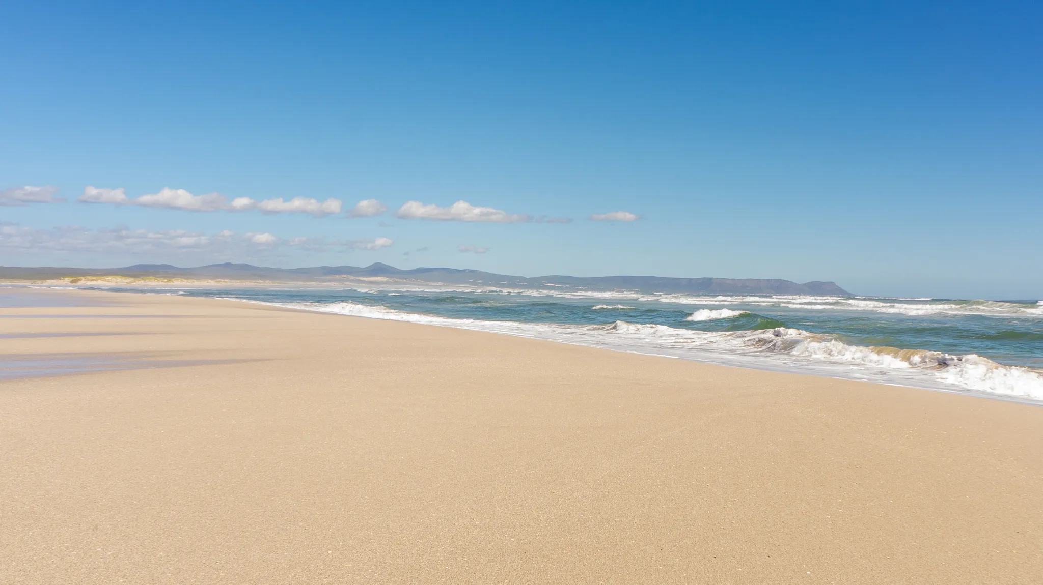 The Ultimate Guide to Hermanus Beaches: Where to Swim, Walk & Whale Watch