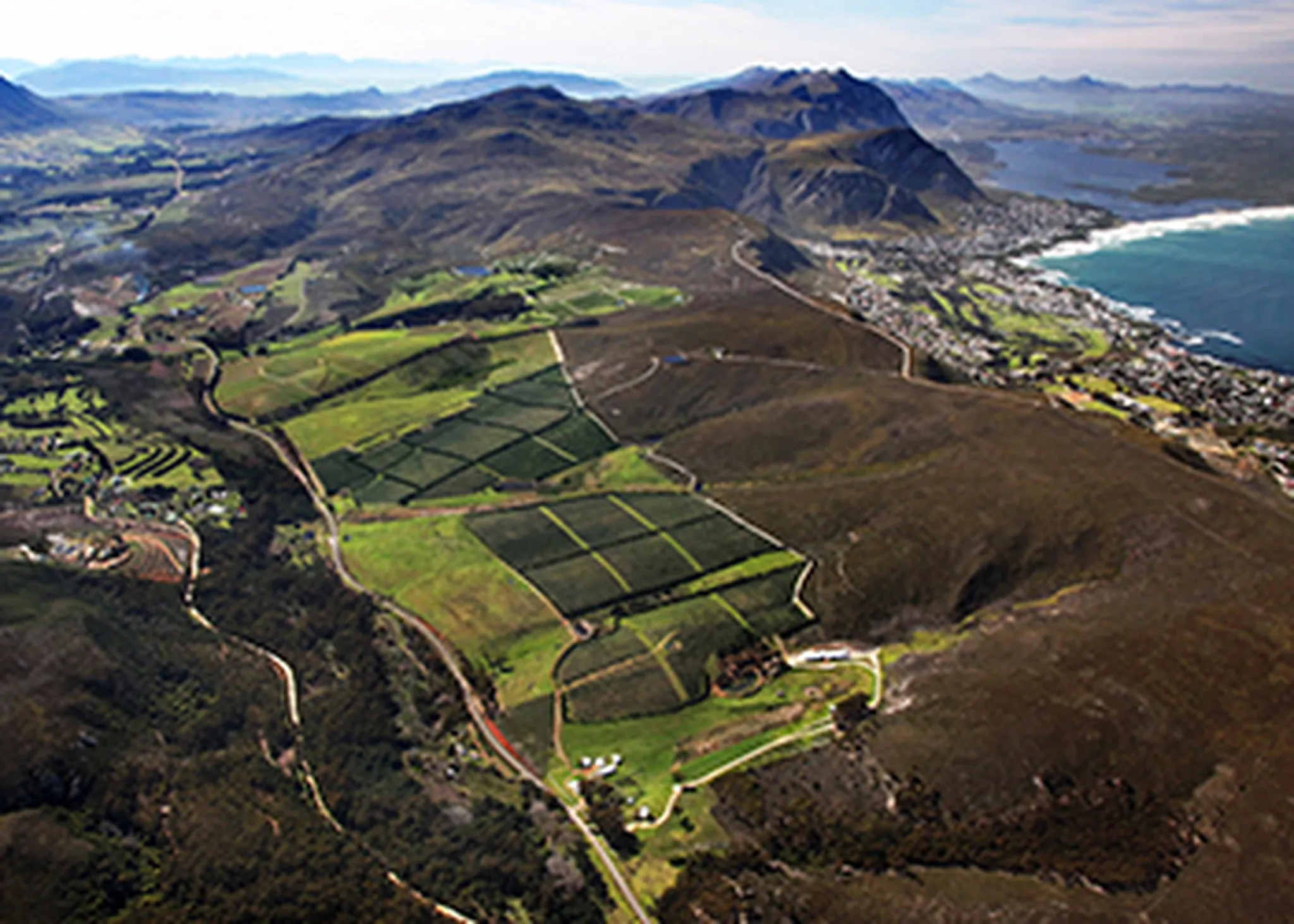 Best Wine Farms in Hermanus & the Overstrand: Part 2 – Hamilton Russell Vineyards