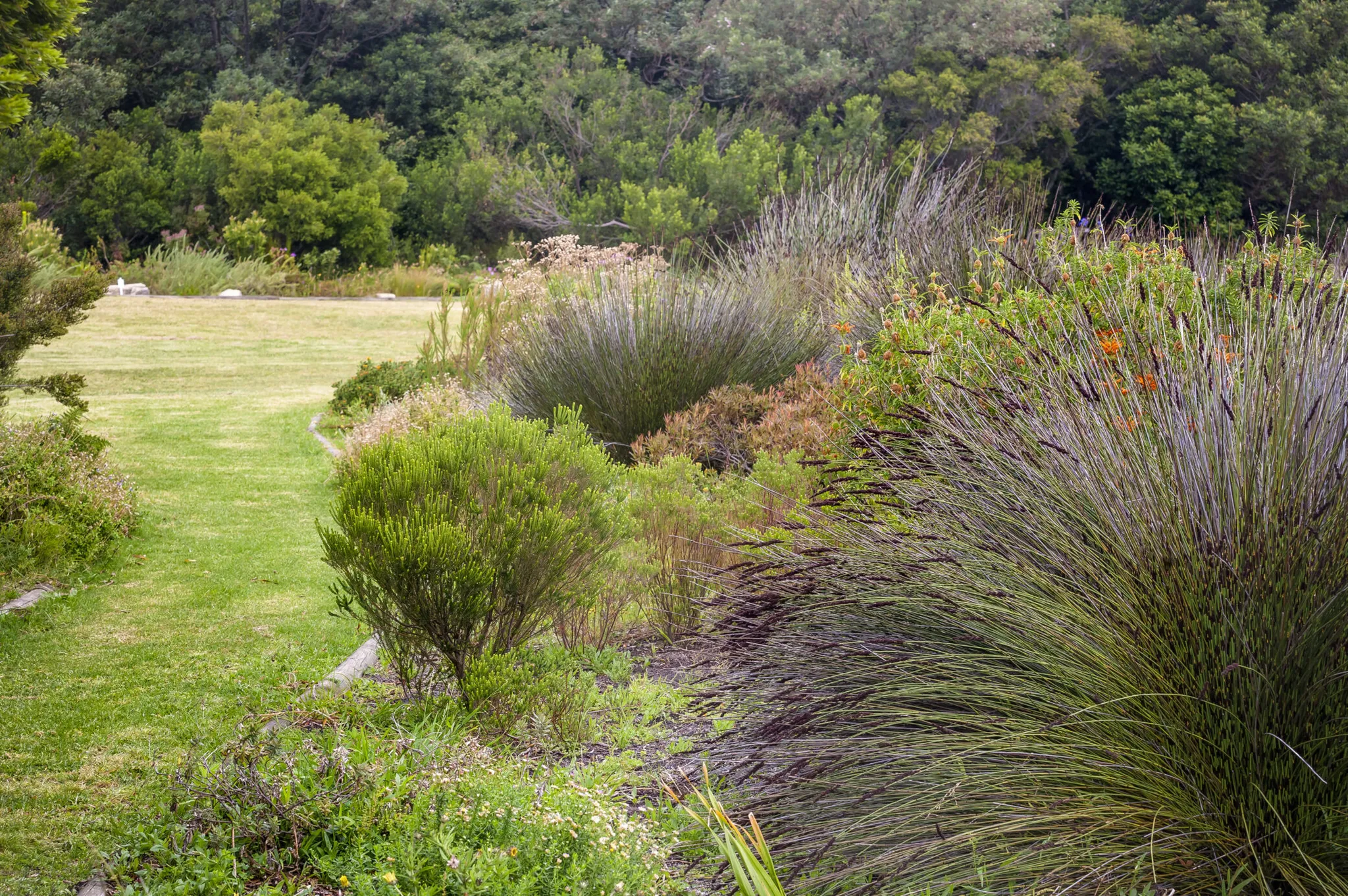 History of Hermanus: A Journey Through Time