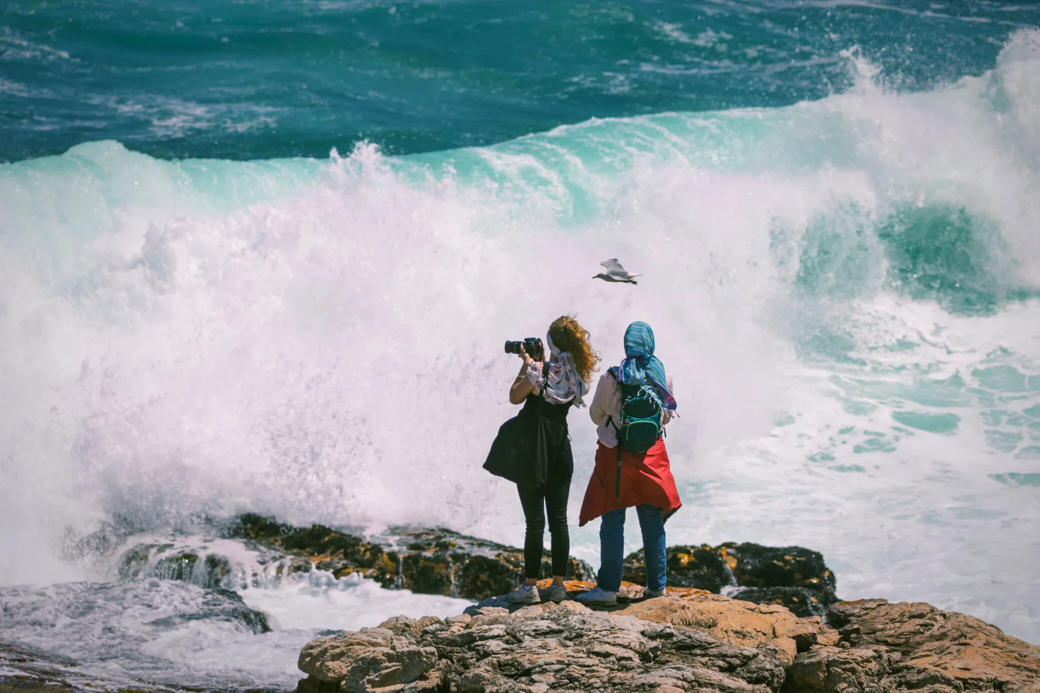 The Hermanus Whale Crier